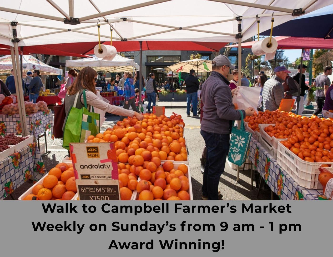 375 North 3rd Street, Unit 3 Campbell, CA 95008 - Photo 23 of 27 a area with lots of fruit and vegetables
