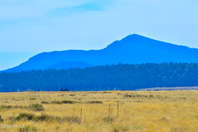 $399,000 | Parcel E East Tanner Rnch Road, Flagstaff, AZ 86005