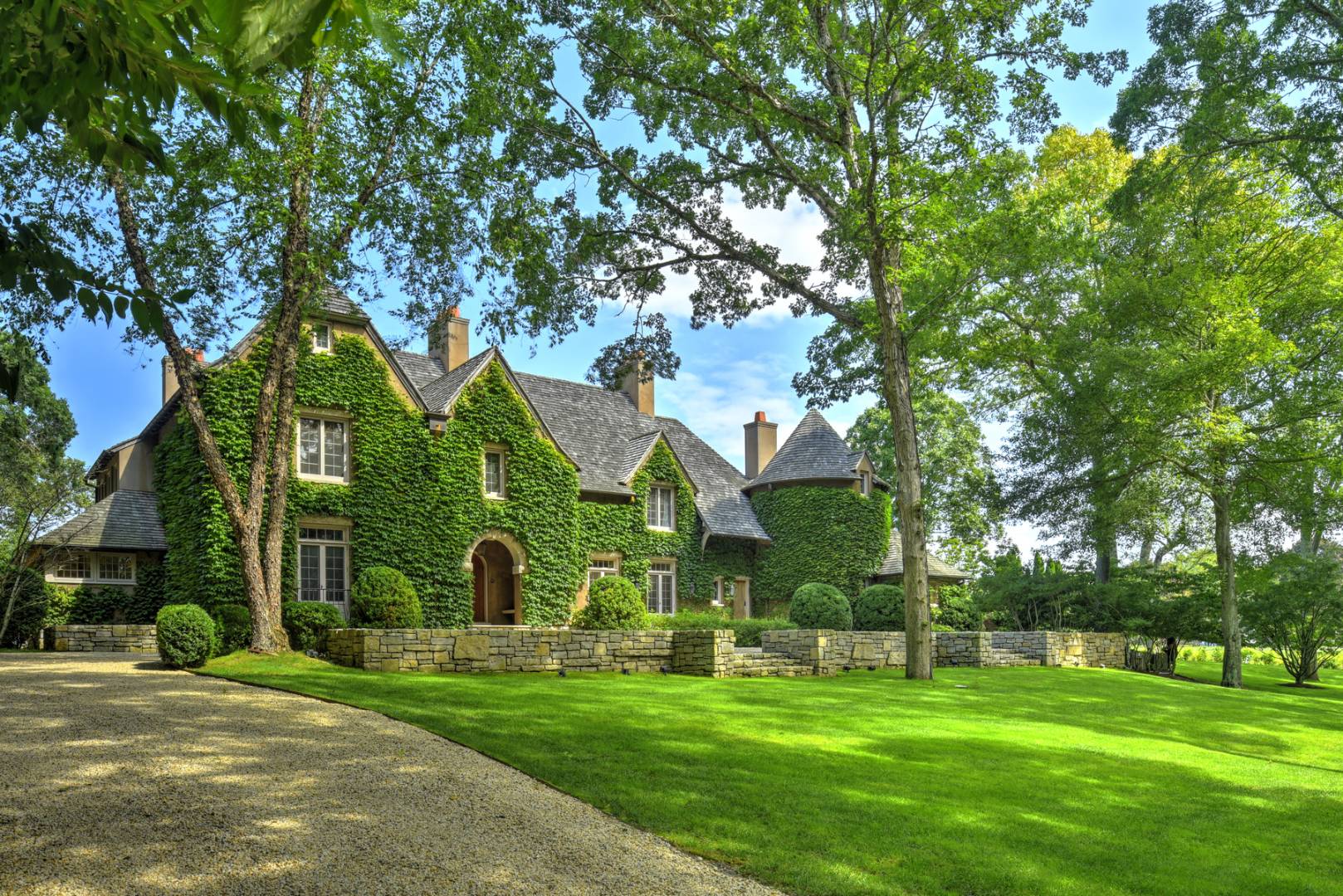 a view of a park that has large trees