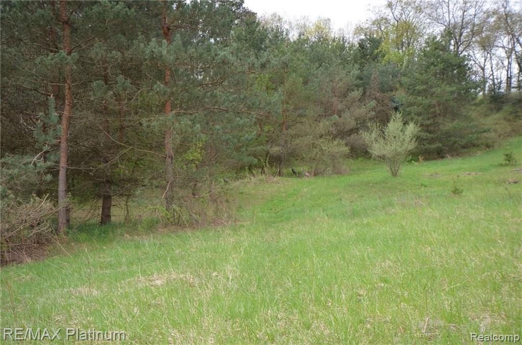 Parcel A Silverbell Road Rochester, MI 48306 - Photo 6 of 31