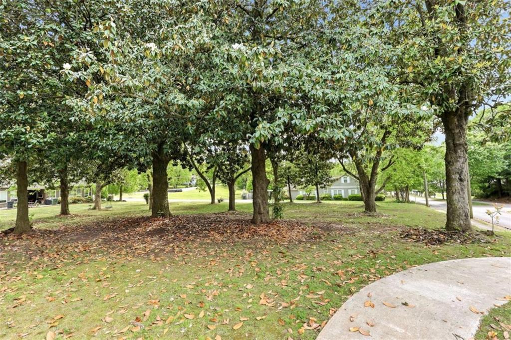 420 Fore Acre Street Cornelia, GA 30531 - Photo 7 of 48 a view of a yard with tree s