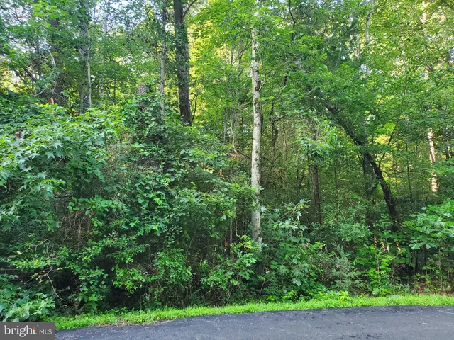 a view of a yard with plants