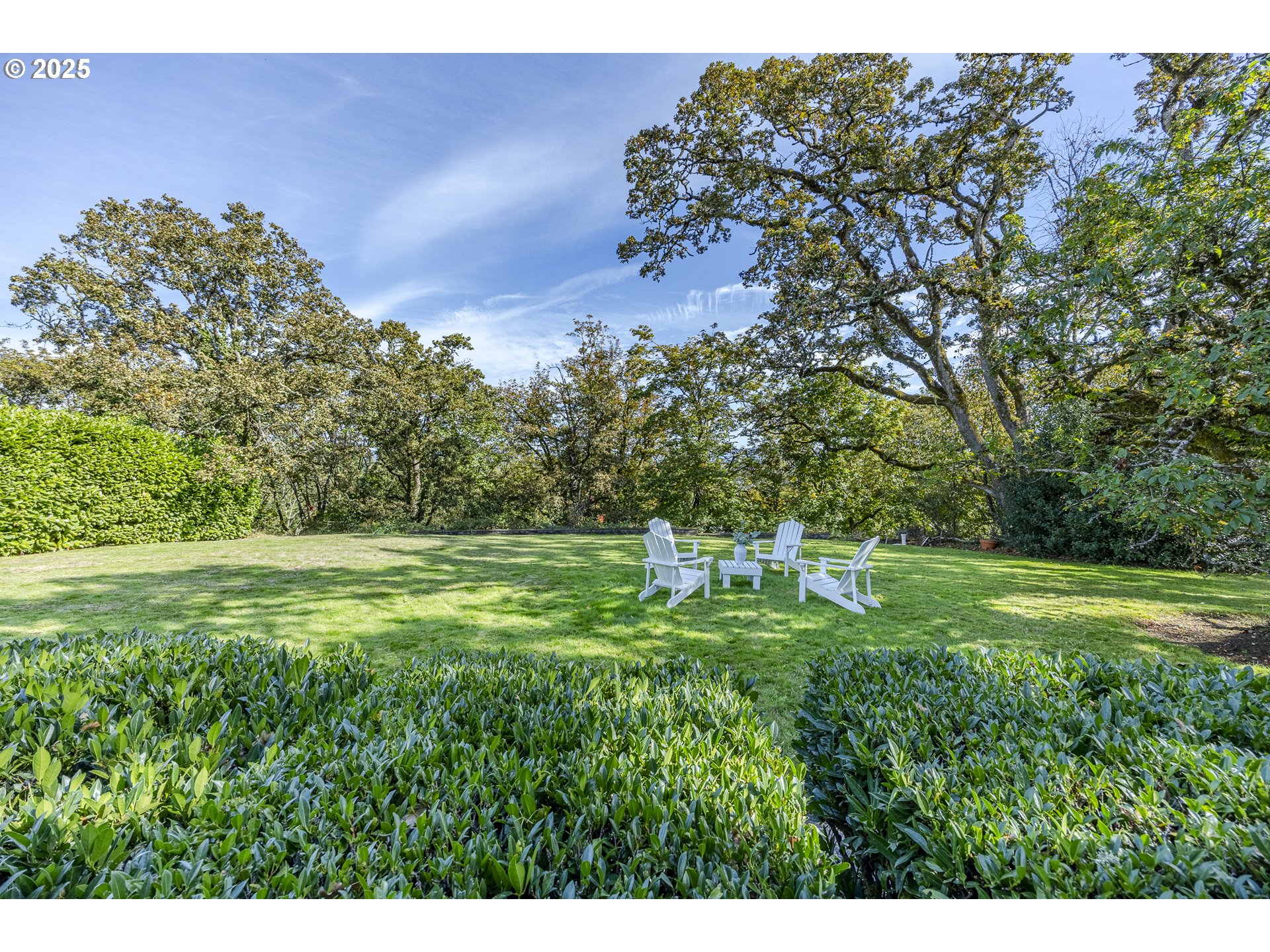 641 City View Boulevard Springfield, OR 97477 - Photo 40 of 48 a backyard of a house with lots of green space