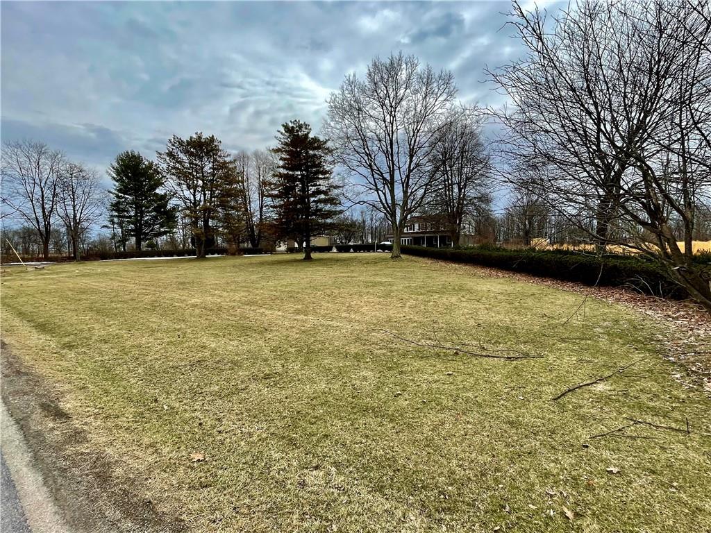 100 Eau Claire Road Boyers, PA 16020 - Photo 3 of 25 a view of a yard with a trees