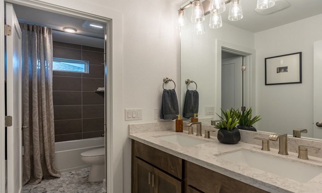 8608 Turaco Trail Austin, TX 78744 - Photo 16 of 20 a bathroom with a sink a potted plant and a mirror