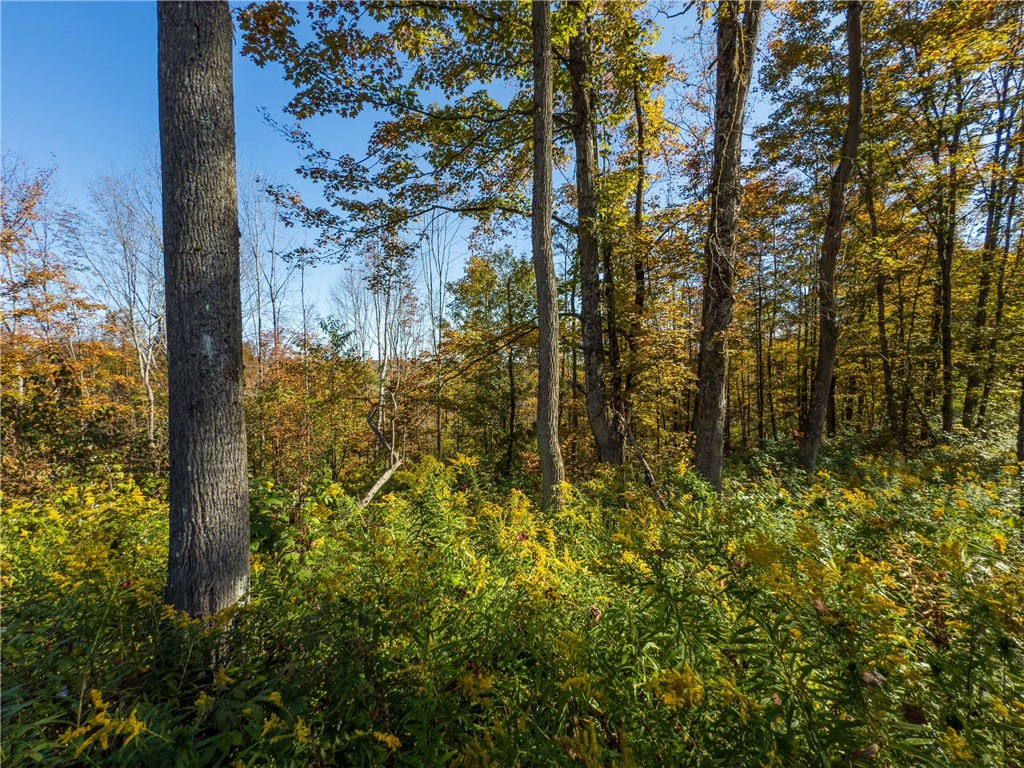 Reservoir Hill Road Norwich, NY 13815 - Photo 18 of 50