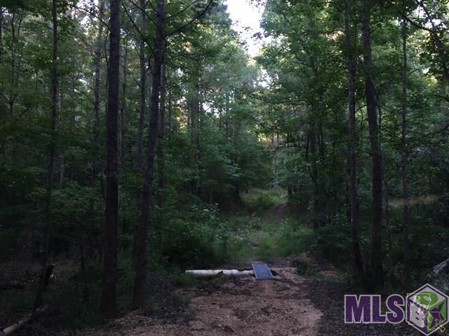 5000 A Rocky Falls Road Hazlehurst, MS 39083 - Photo 4 of 7 Gallery Image 4