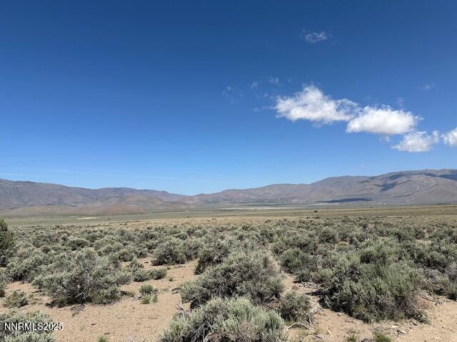 1 Eastside Lane Gardnerville, NV 89410 - Photo 2 of 7 a view of a lush green field with mountains in the background