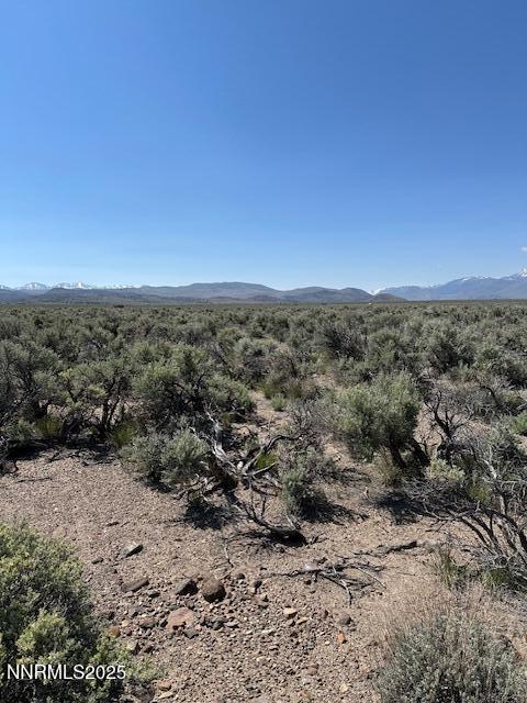 1 Eastside Lane Gardnerville, NV 89410 - Photo 3 of 7