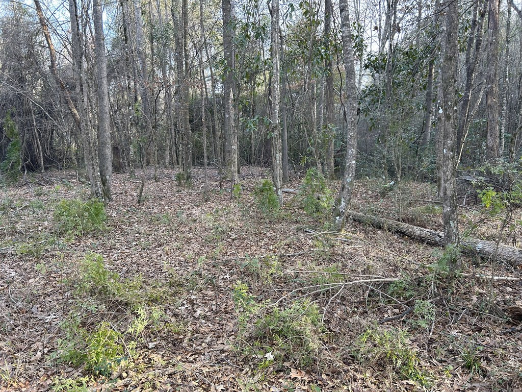 0 Sontag-Nola Road Sontag, MS 39665 - Photo 26 of 35 Photo 26