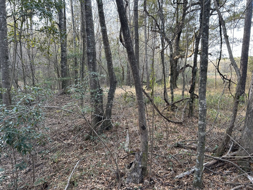 0 Sontag-Nola Road Sontag, MS 39665 - Photo 29 of 35 Photo 29