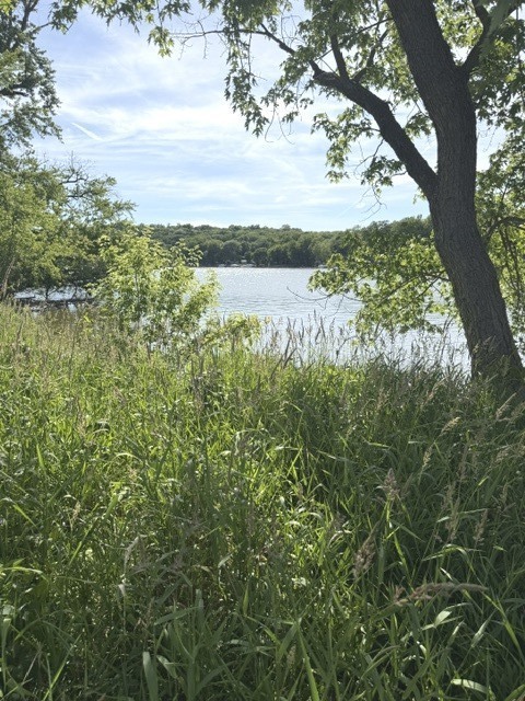 0 Riverside Drive Dixon, IL 61021 - Photo 1 of 4