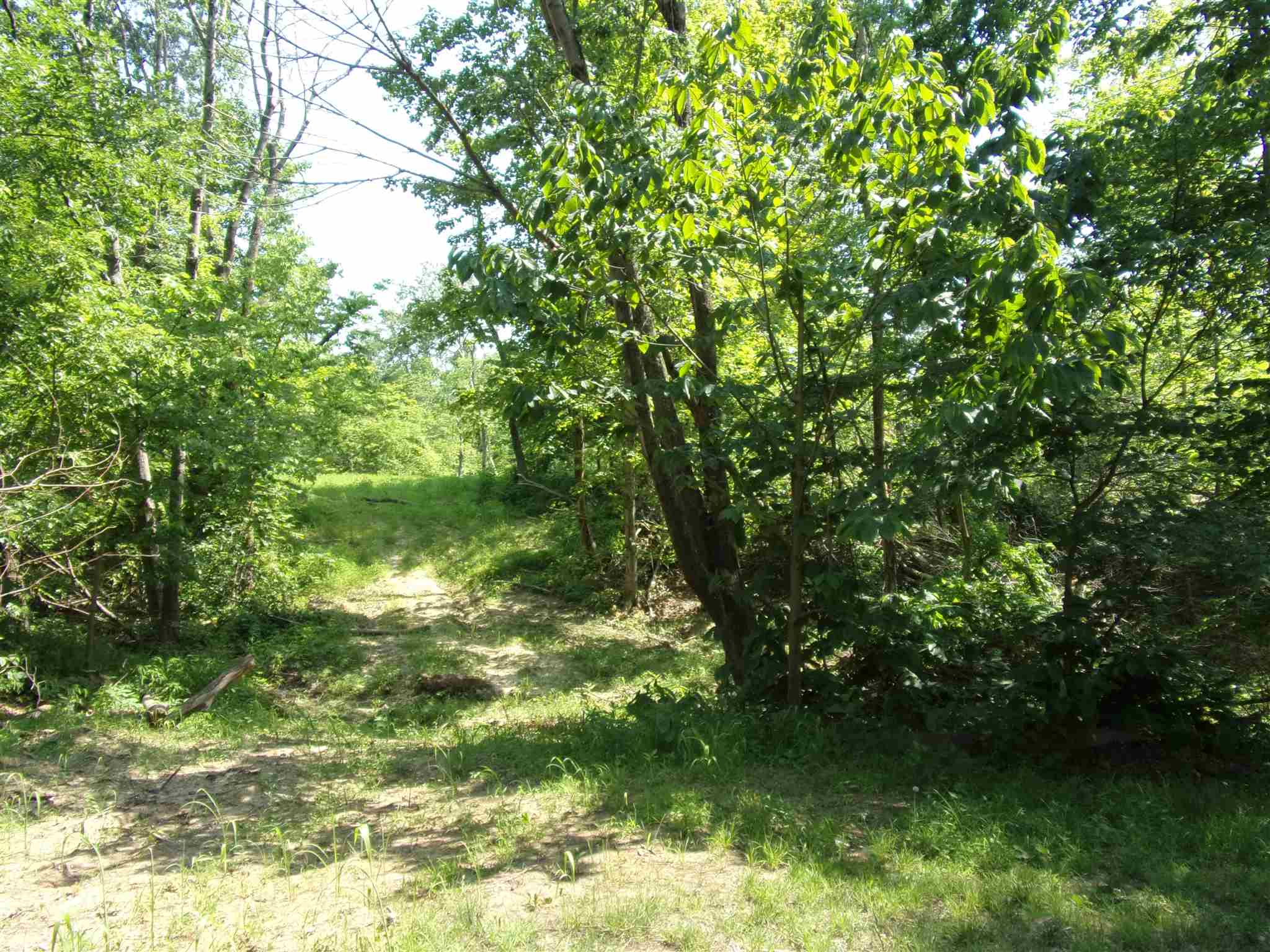 9242 Kinlou Road Kinmundy, IL 62854 - Photo 9 of 9