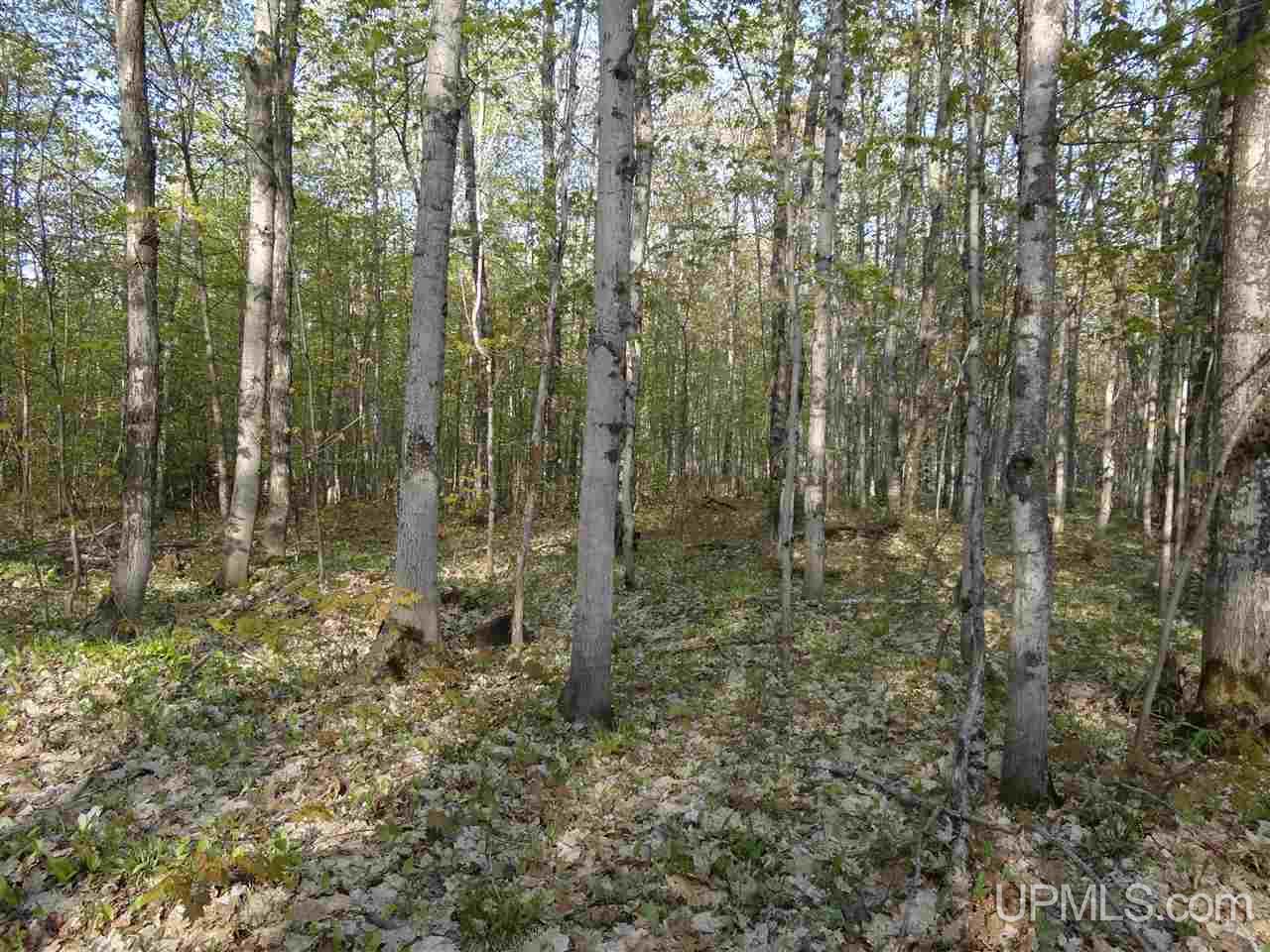 Tbd Coles Creek Road, Unit PARCEL 11 Hancock, MI 49931 - Photo 7 of 12