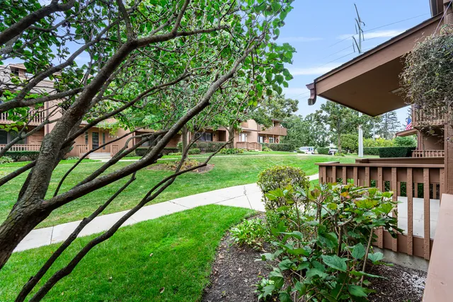 a view of a backyard with a garden