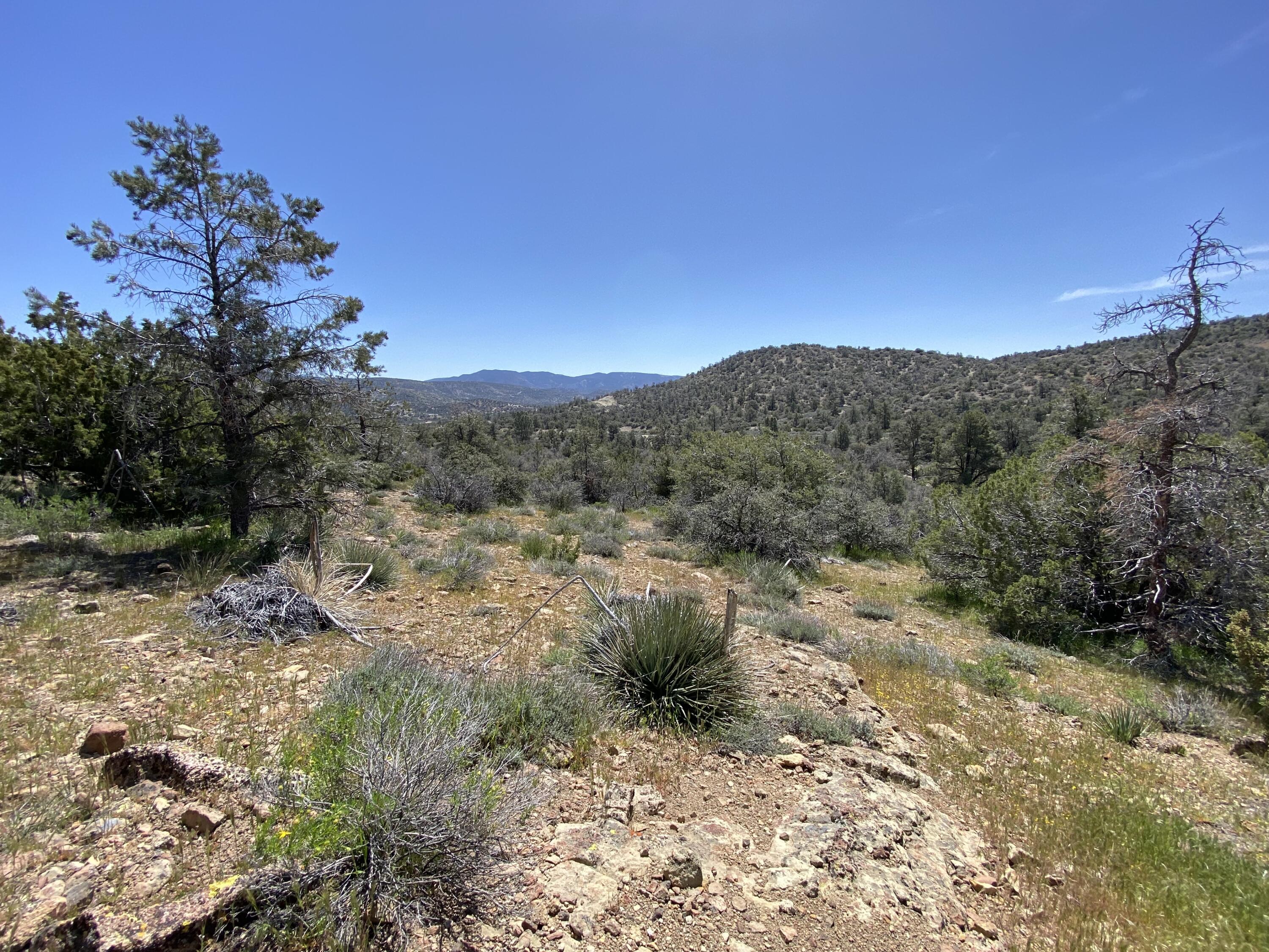 Mountain Drive Tehachapi, CA 93561 - Photo 20 of 57 a view of a forest with mountains in the background