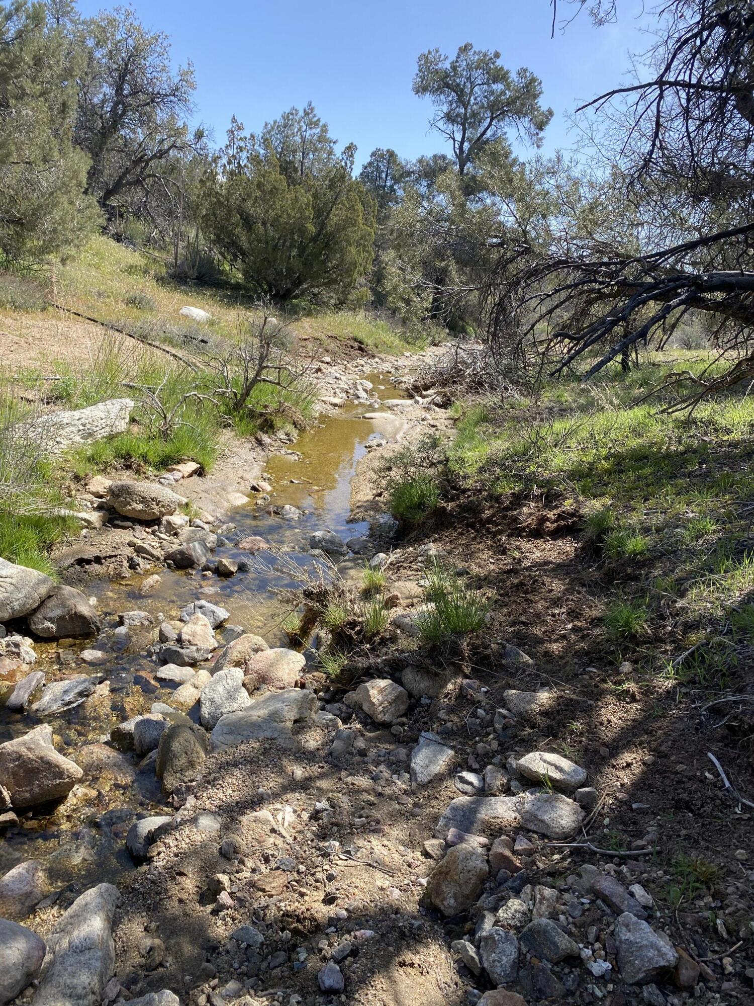 Mountain Drive Tehachapi, CA 93561 - Photo 2 of 57 a view of a yard with a tree