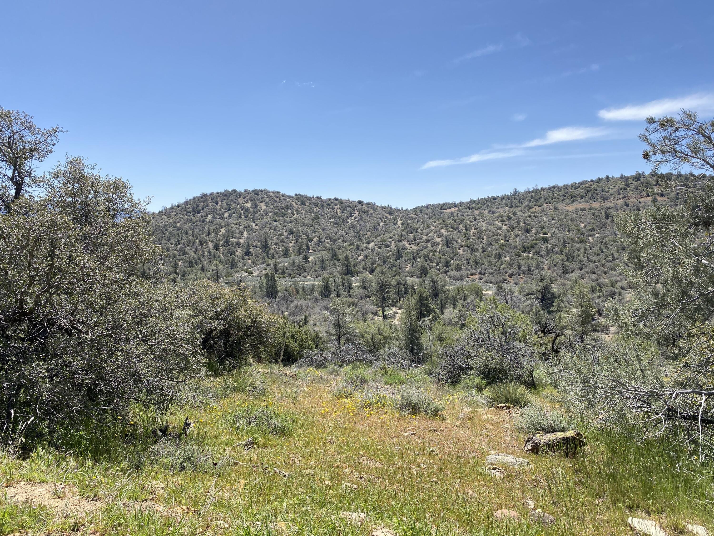 Mountain Drive Tehachapi, CA 93561 - Photo 26 of 57 a view of a dry yard with mountains in the background