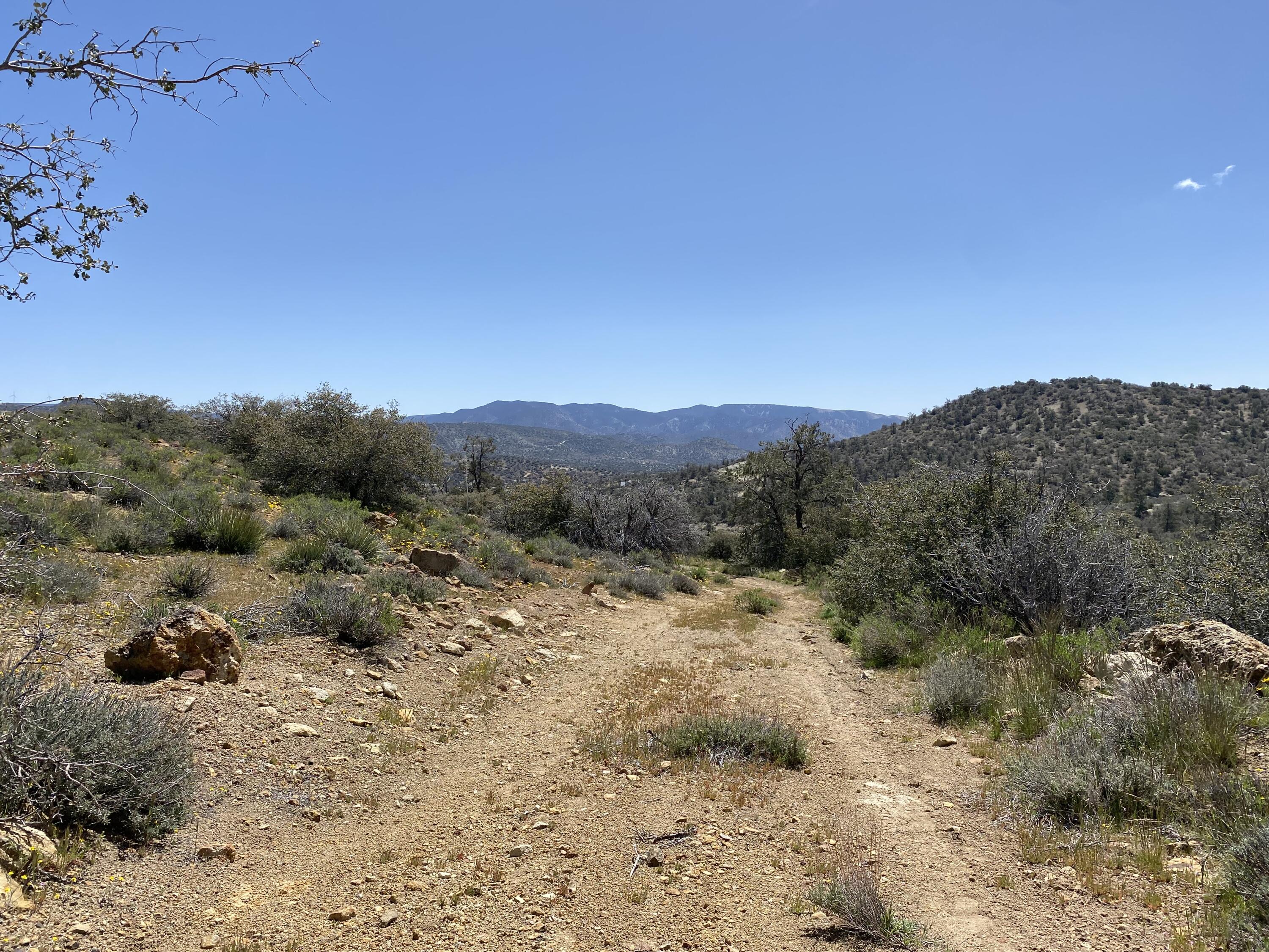 Mountain Drive Tehachapi, CA 93561 - Photo 28 of 57 a view of a dry field