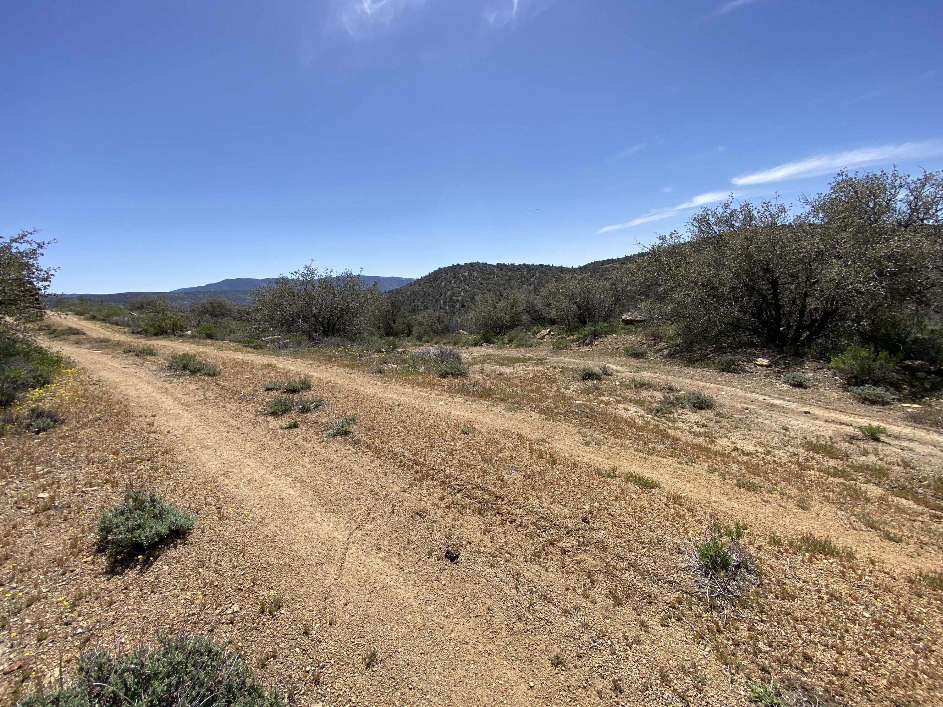 Mountain Drive Tehachapi, CA 93561 - Photo 29 of 57 a view of a road with mountains in the background