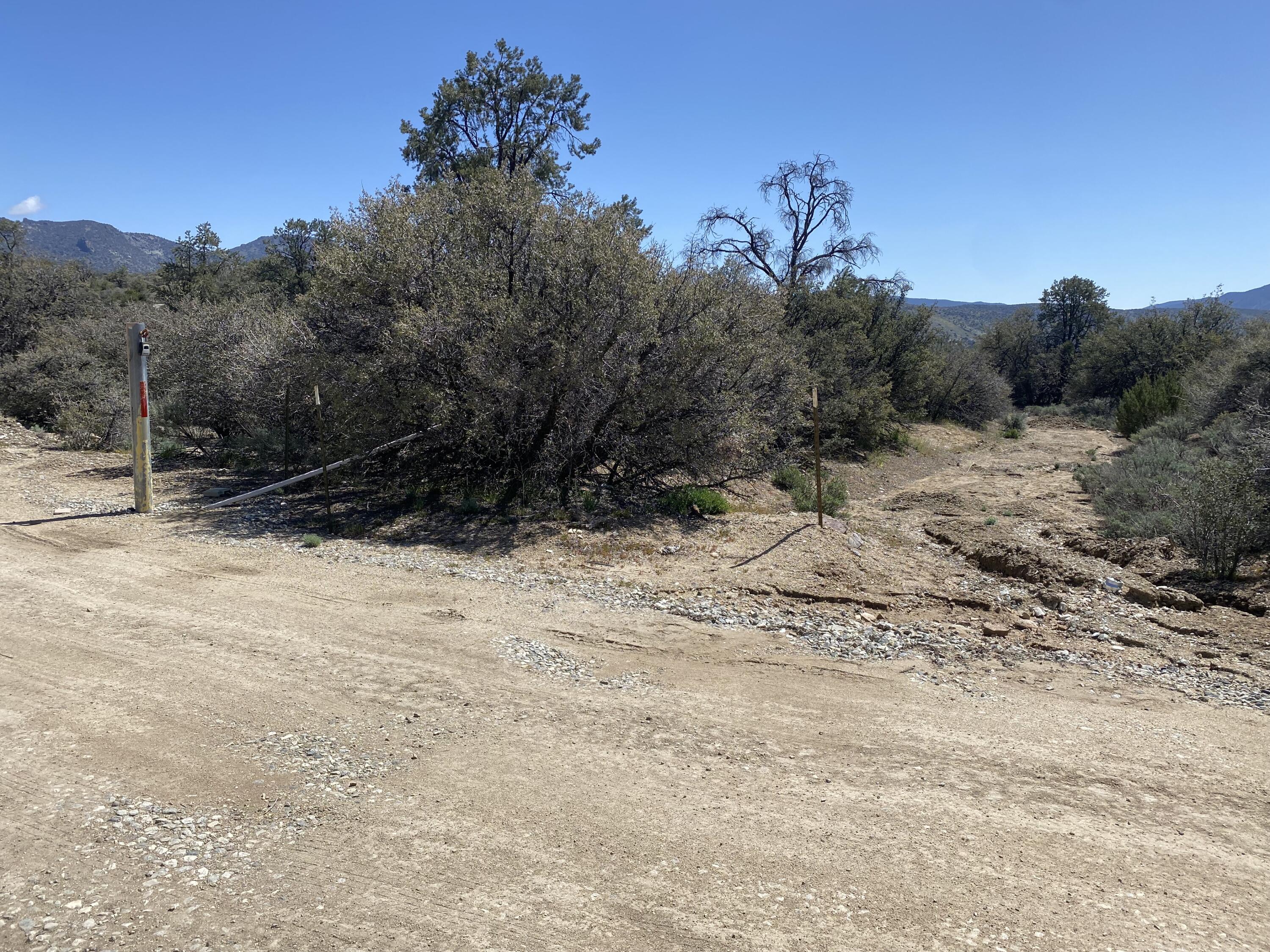 Mountain Drive Tehachapi, CA 93561 - Photo 3 of 57 a view of a yard covered with snow in the background