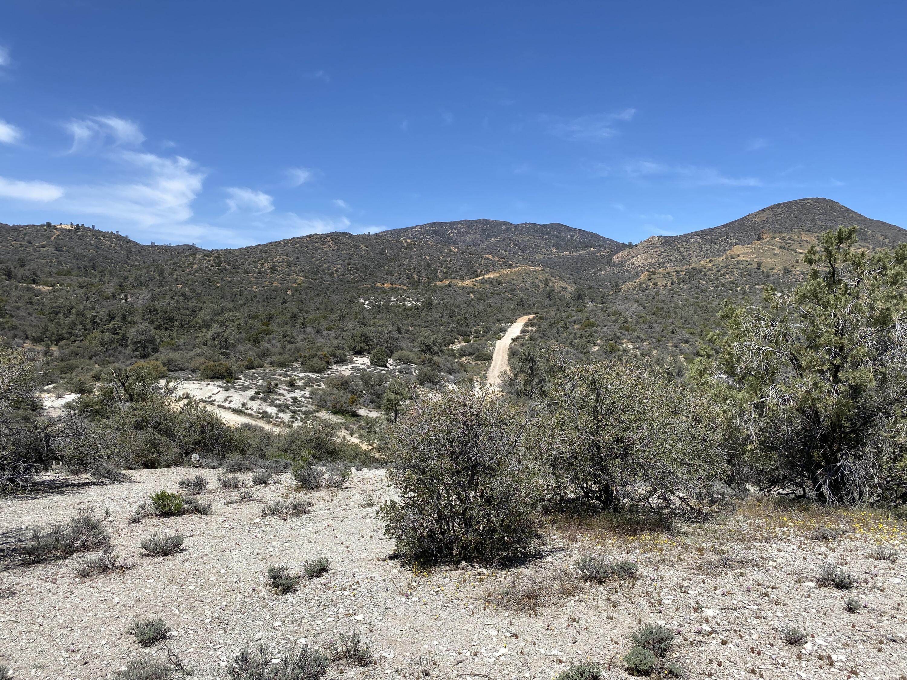 Mountain Drive Tehachapi, CA 93561 - Photo 32 of 57 a view of a dry yard with mountains in the background