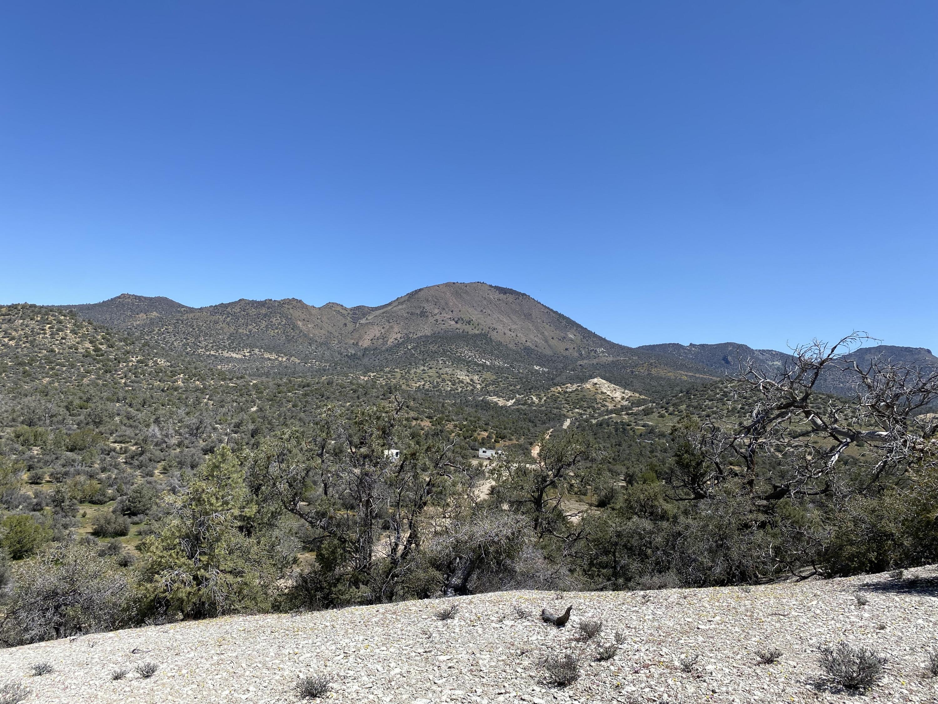 Mountain Drive Tehachapi, CA 93561 - Photo 33 of 57 a view of a dry yard with wooden fence