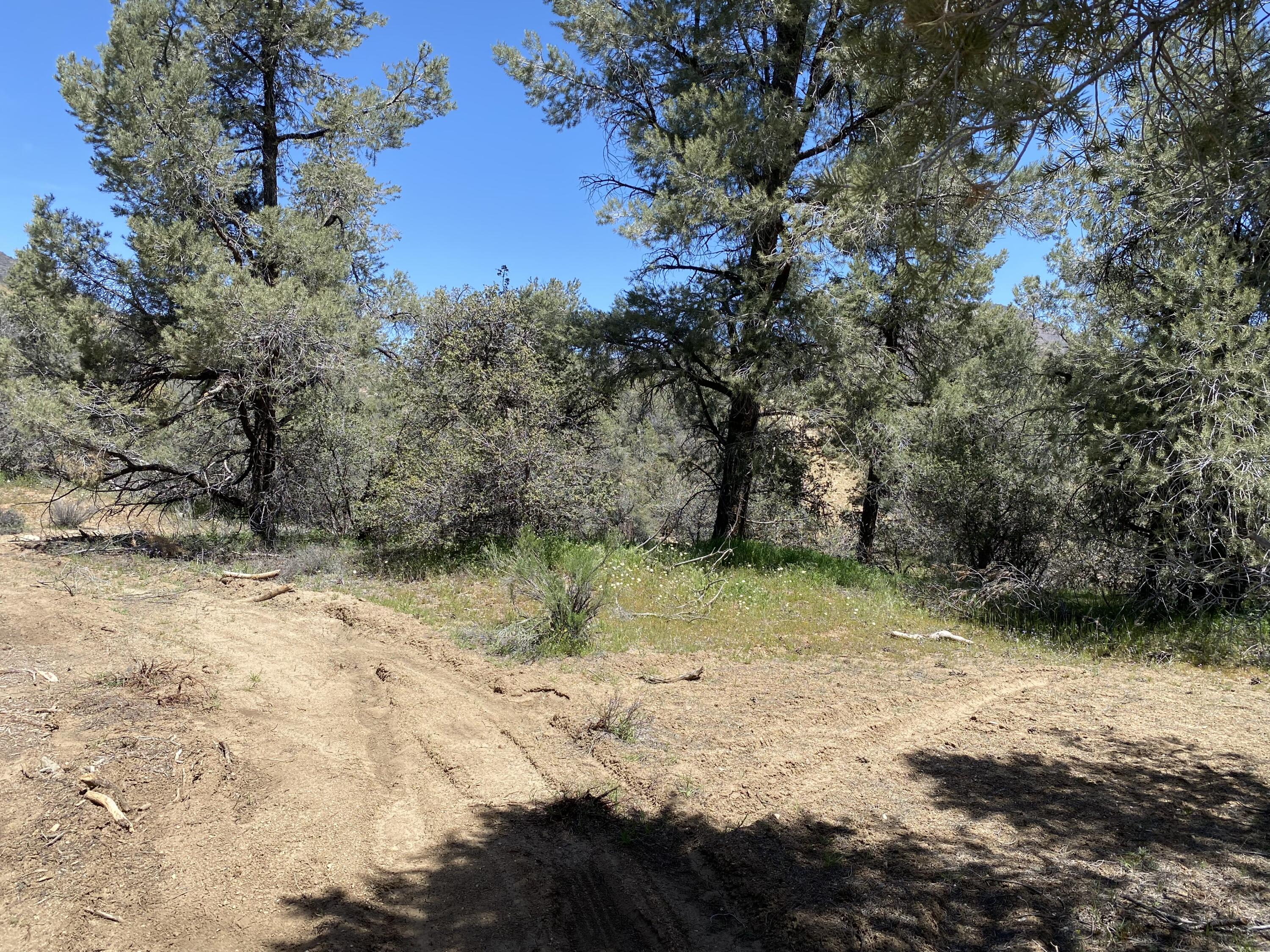 Mountain Drive Tehachapi, CA 93561 - Photo 36 of 57 a view of backyard with green space