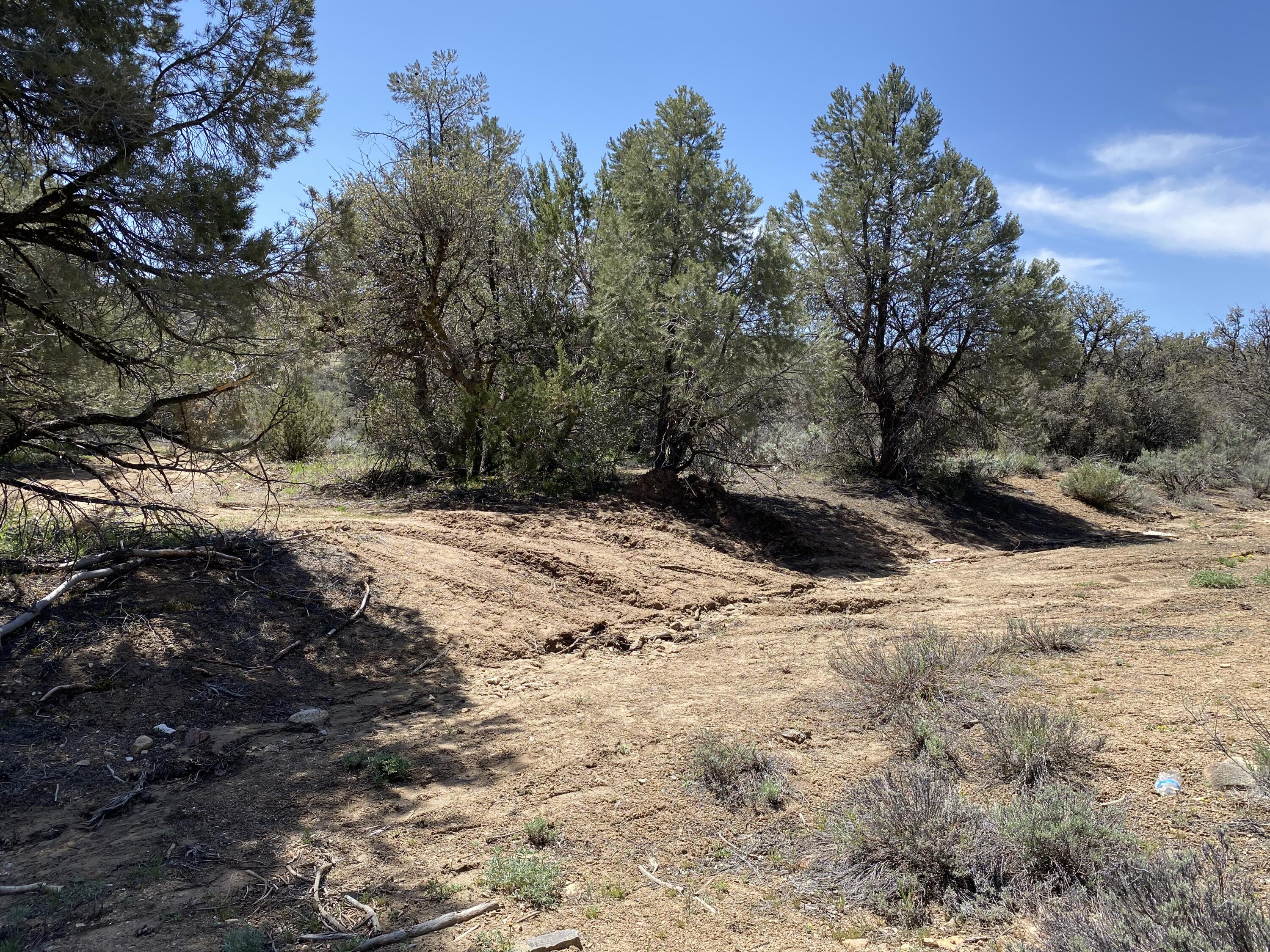 Mountain Drive Tehachapi, CA 93561 - Photo 37 of 57 Photo Apr 24 2023, 11 46 40 AM