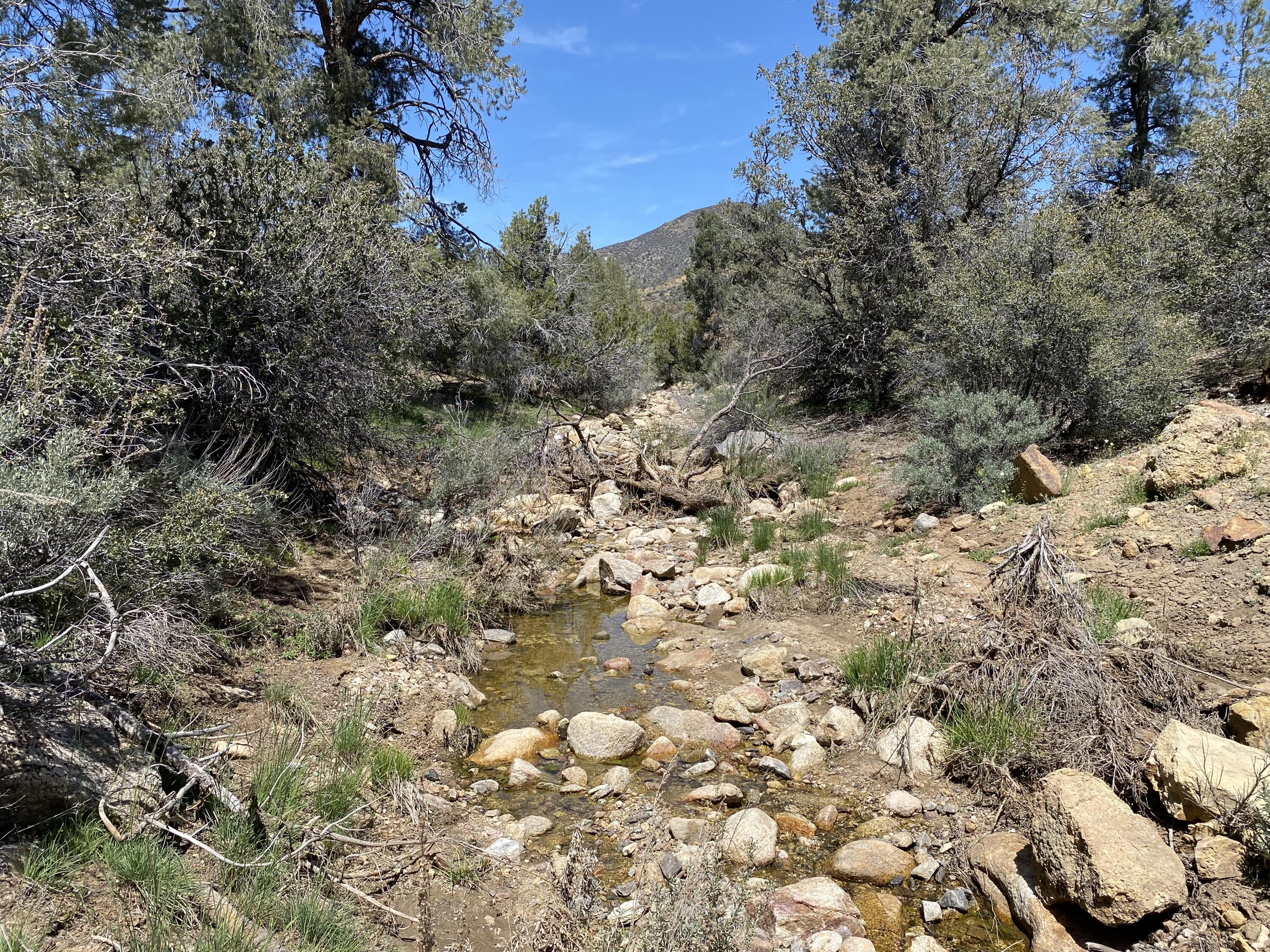 Mountain Drive Tehachapi, CA 93561 - Photo 38 of 57 a view of a yard covered in snow