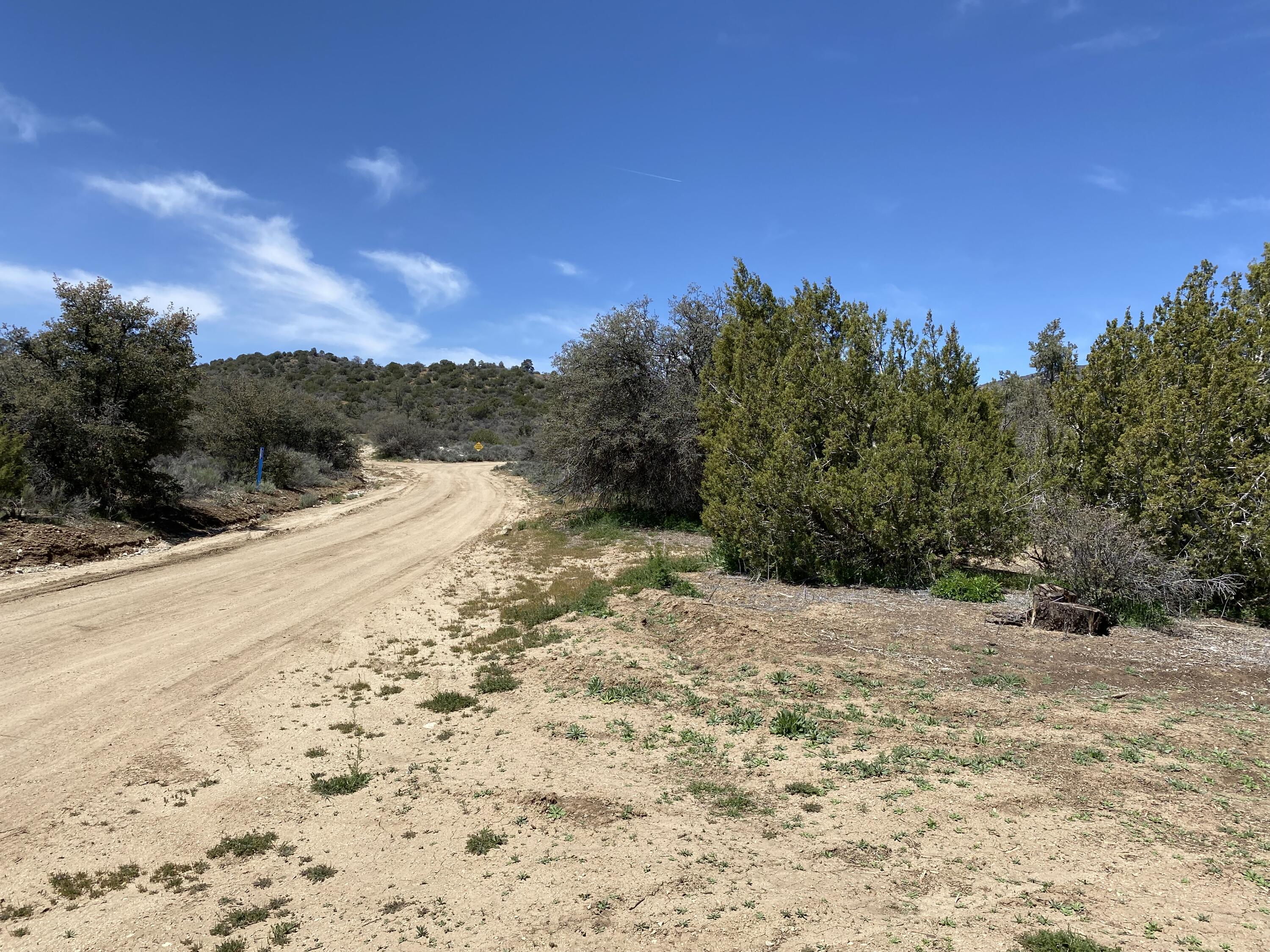 Mountain Drive Tehachapi, CA 93561 - Photo 43 of 57 a view of a yard with a tree