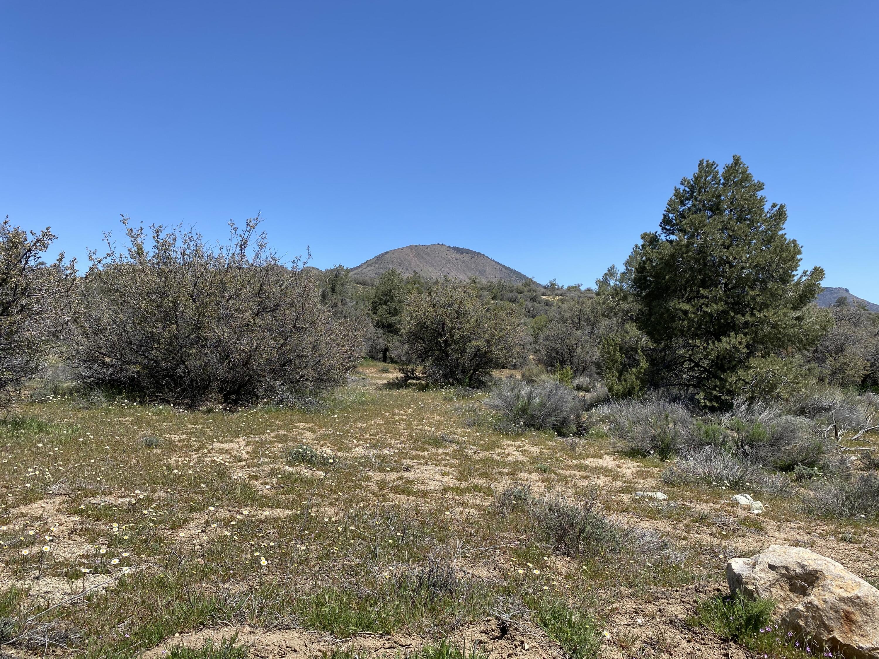 Mountain Drive Tehachapi, CA 93561 - Photo 44 of 57 a view of a field