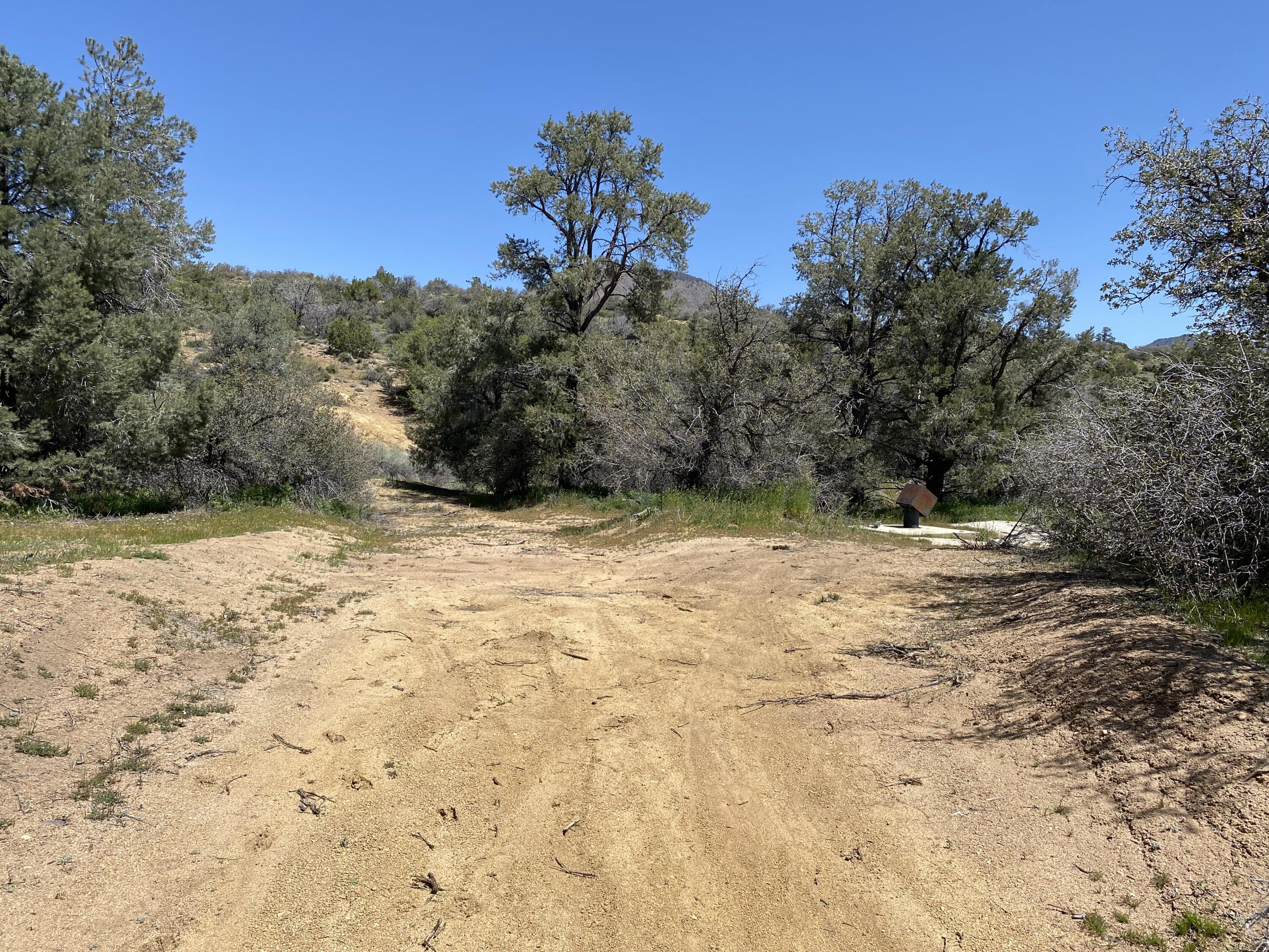 Mountain Drive Tehachapi, CA 93561 - Photo 46 of 57 a view of a yard with a tree