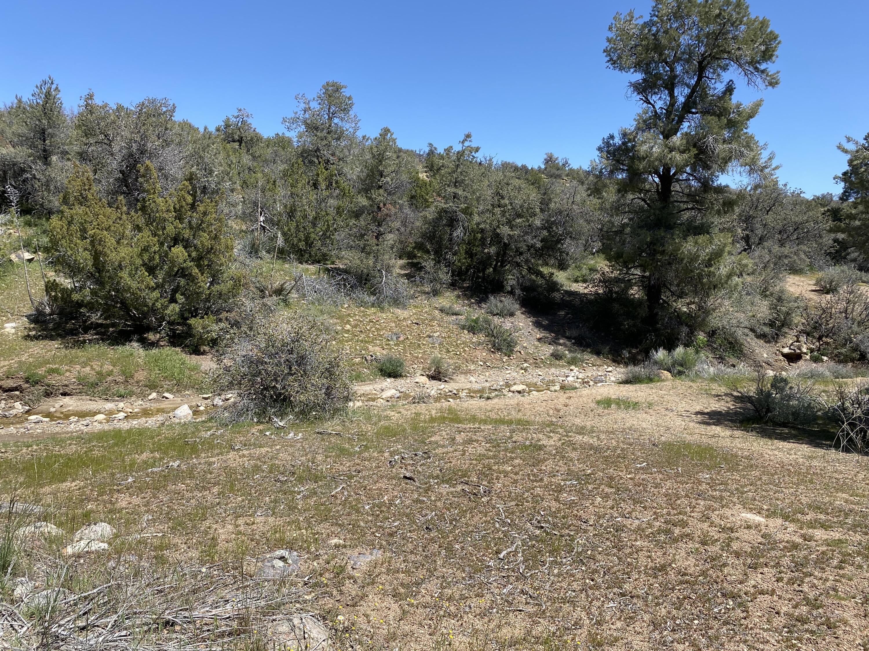 Mountain Drive Tehachapi, CA 93561 - Photo 49 of 57 a view of a yard with a tree