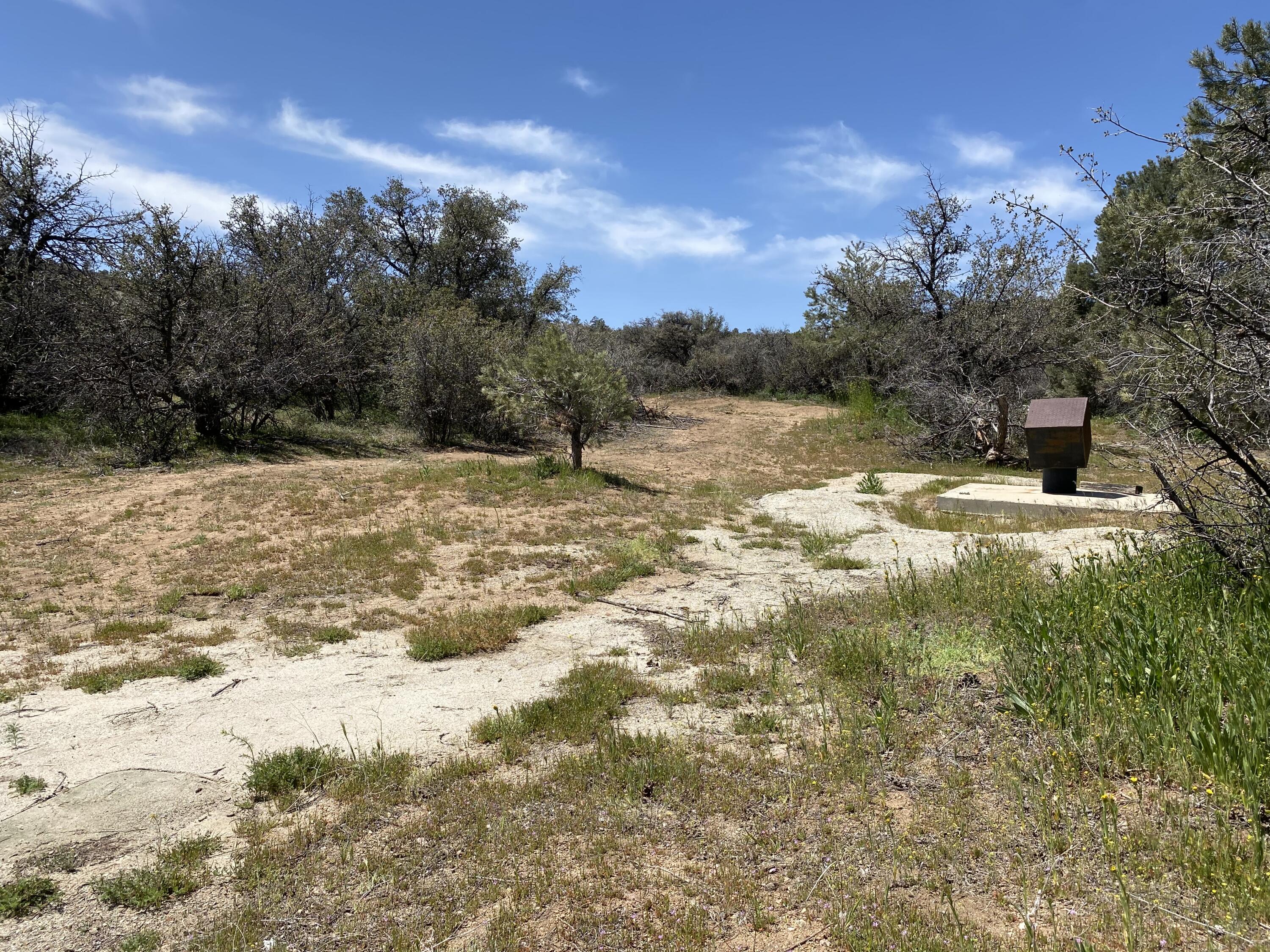 Mountain Drive Tehachapi, CA 93561 - Photo 52 of 57 a view of a yard with a tree