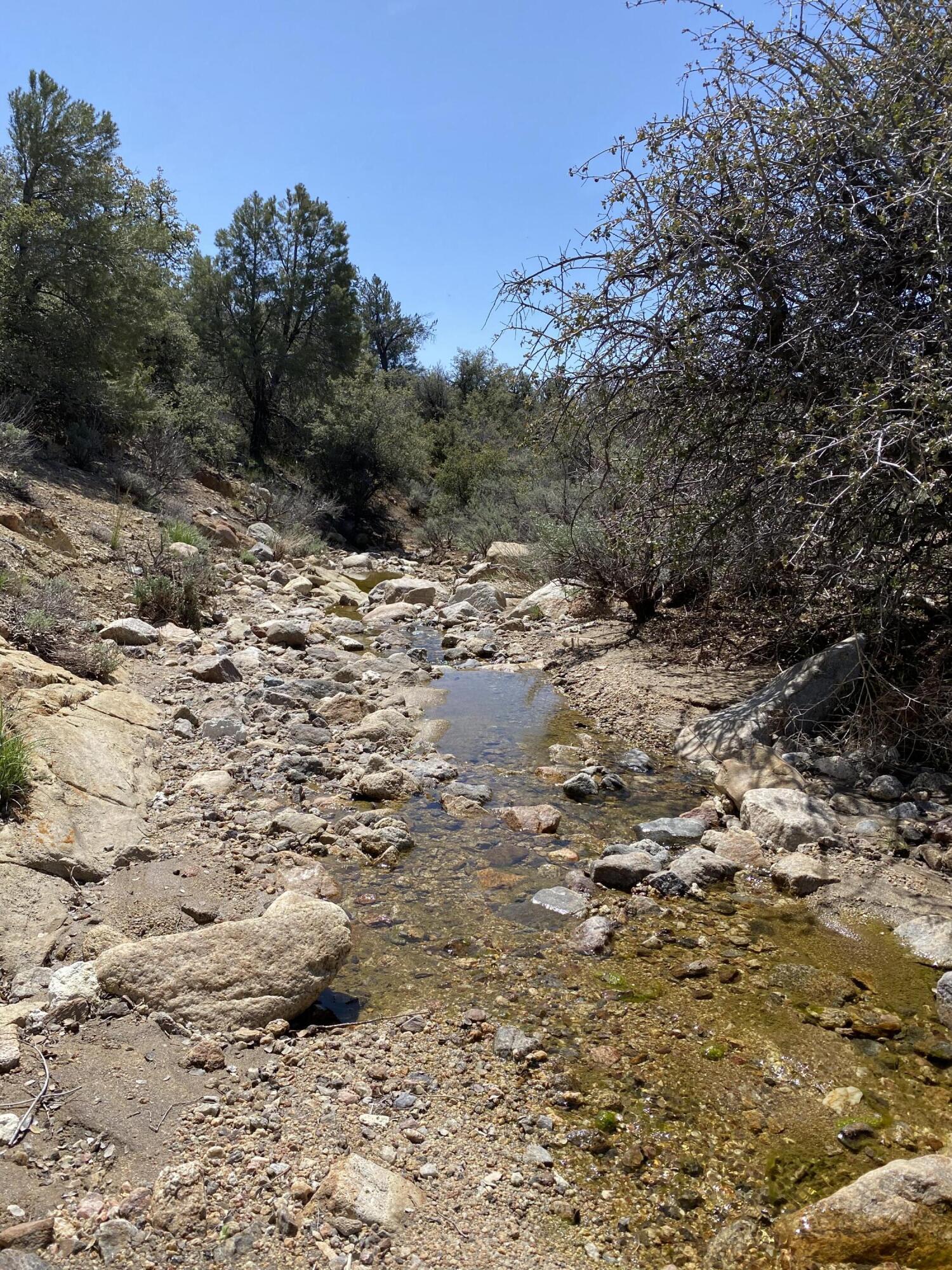 Mountain Drive Tehachapi, CA 93561 - Photo 6 of 57 a view of a dry yard with lots of bushes
