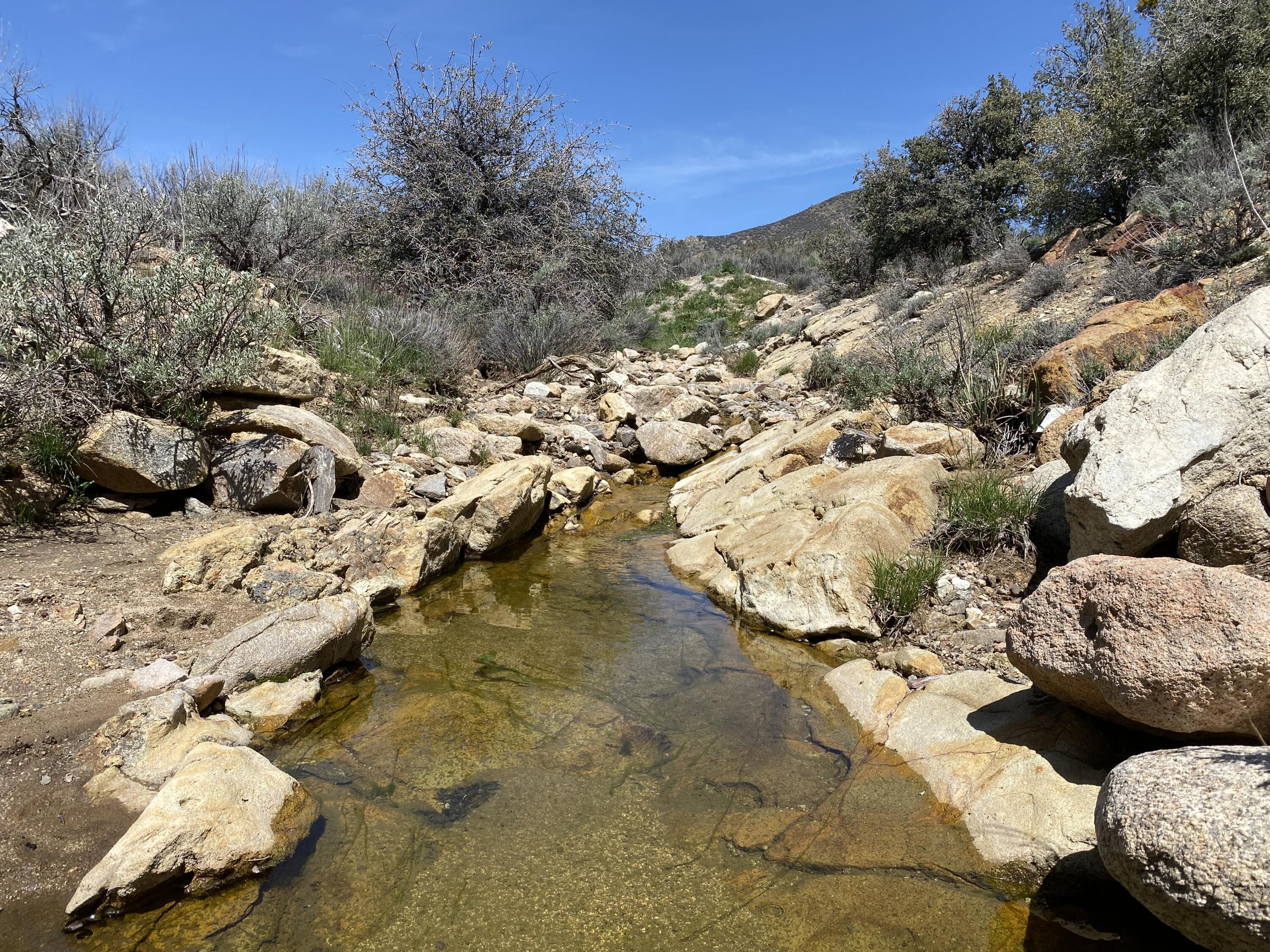 Mountain Drive Tehachapi, CA 93561 - Photo 8 of 57 Photo Apr 24 2023, 11 14 20 AM
