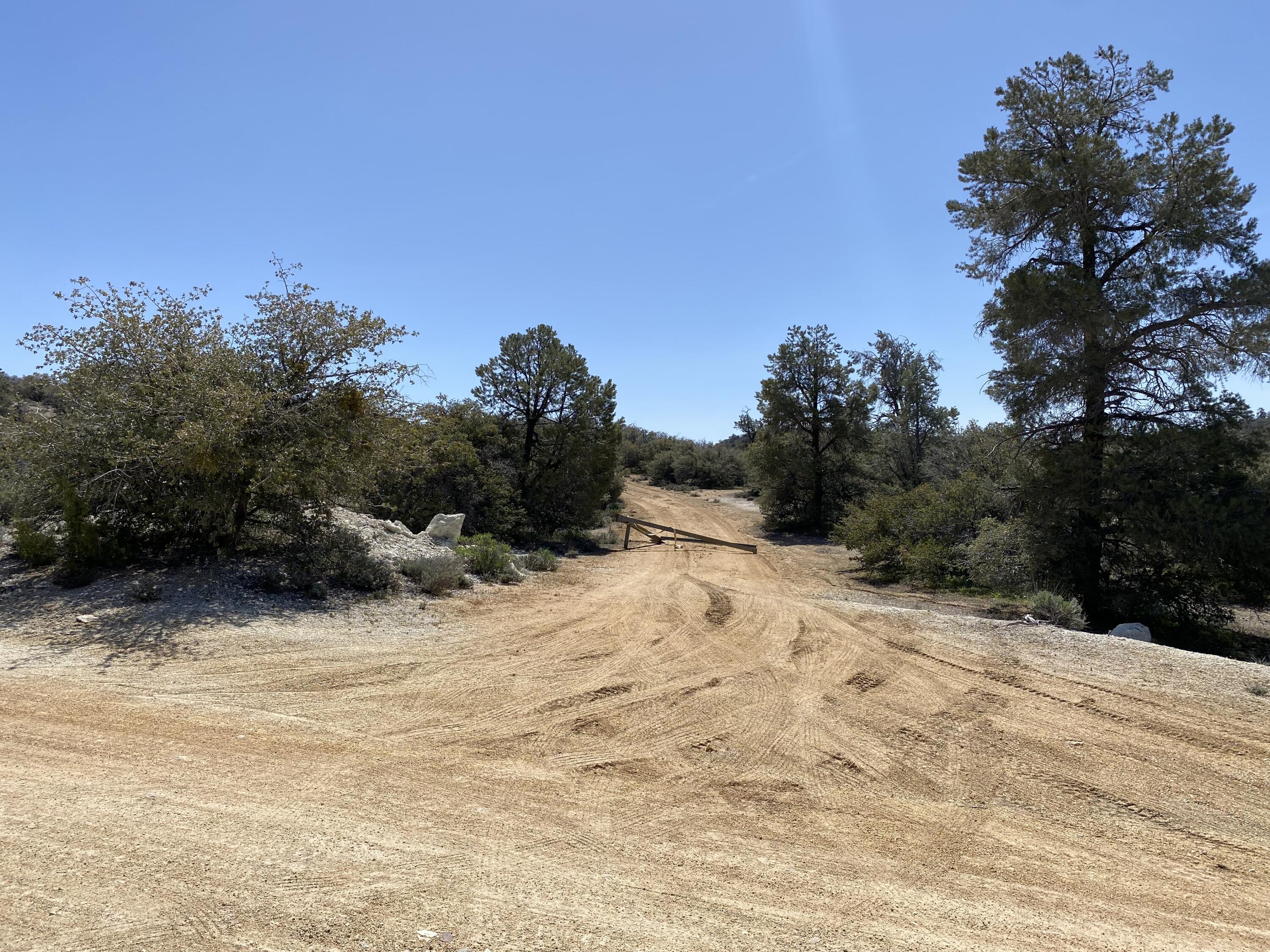 Mountain Drive Tehachapi, CA 93561 - Photo 10 of 57 a view of a yard covered with snow in the background