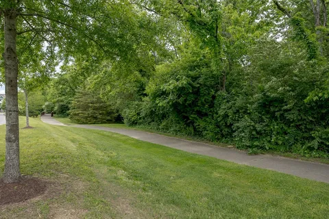 a view of a yard with a trees