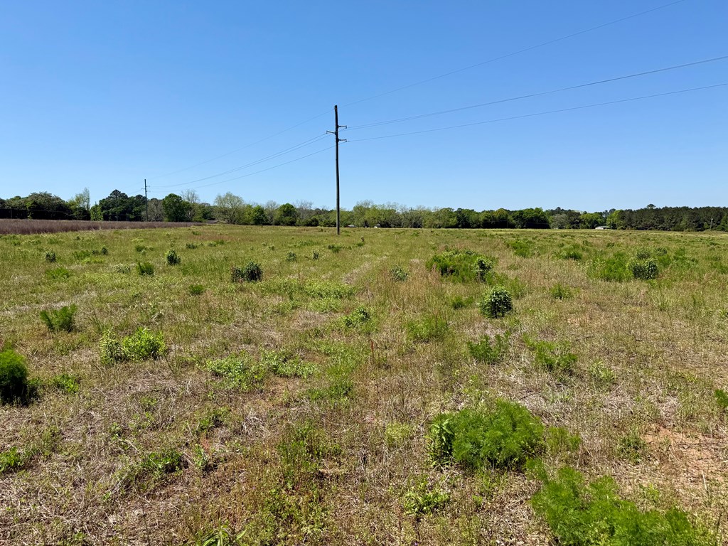 11.97-acres Omussee Road Cowarts, AL 36321 - Photo 5 of 14