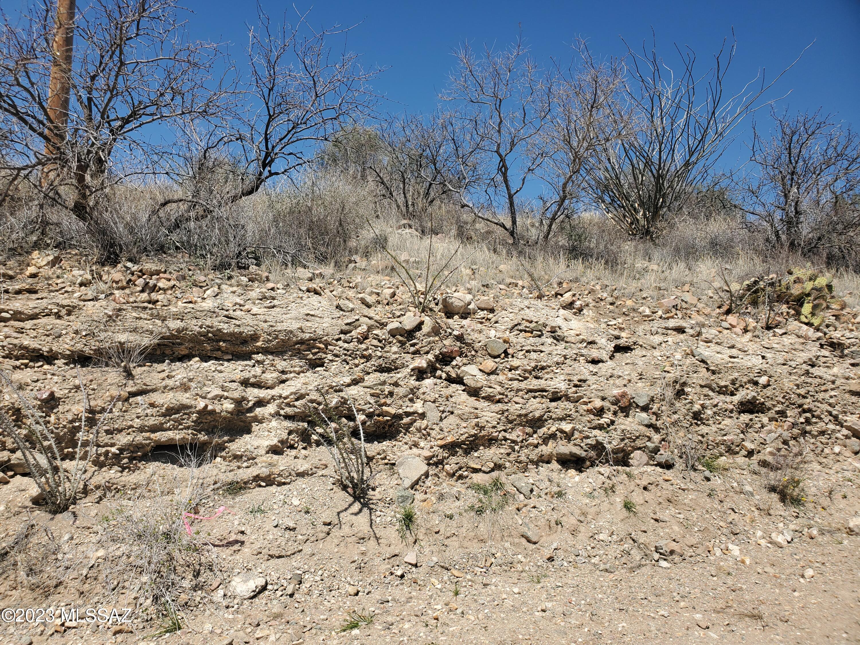 314 Circulo Chica, Unit 50 Rio Rico, AZ 85648 - Photo 4 of 12