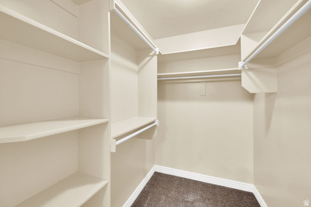 1179 West 100 South Springville, UT 84663 - Photo 11 of 32 Organized walk-in closet featuring multiple shelving units, hanging rods, light beige walls, white baseboards, and brown carpeting