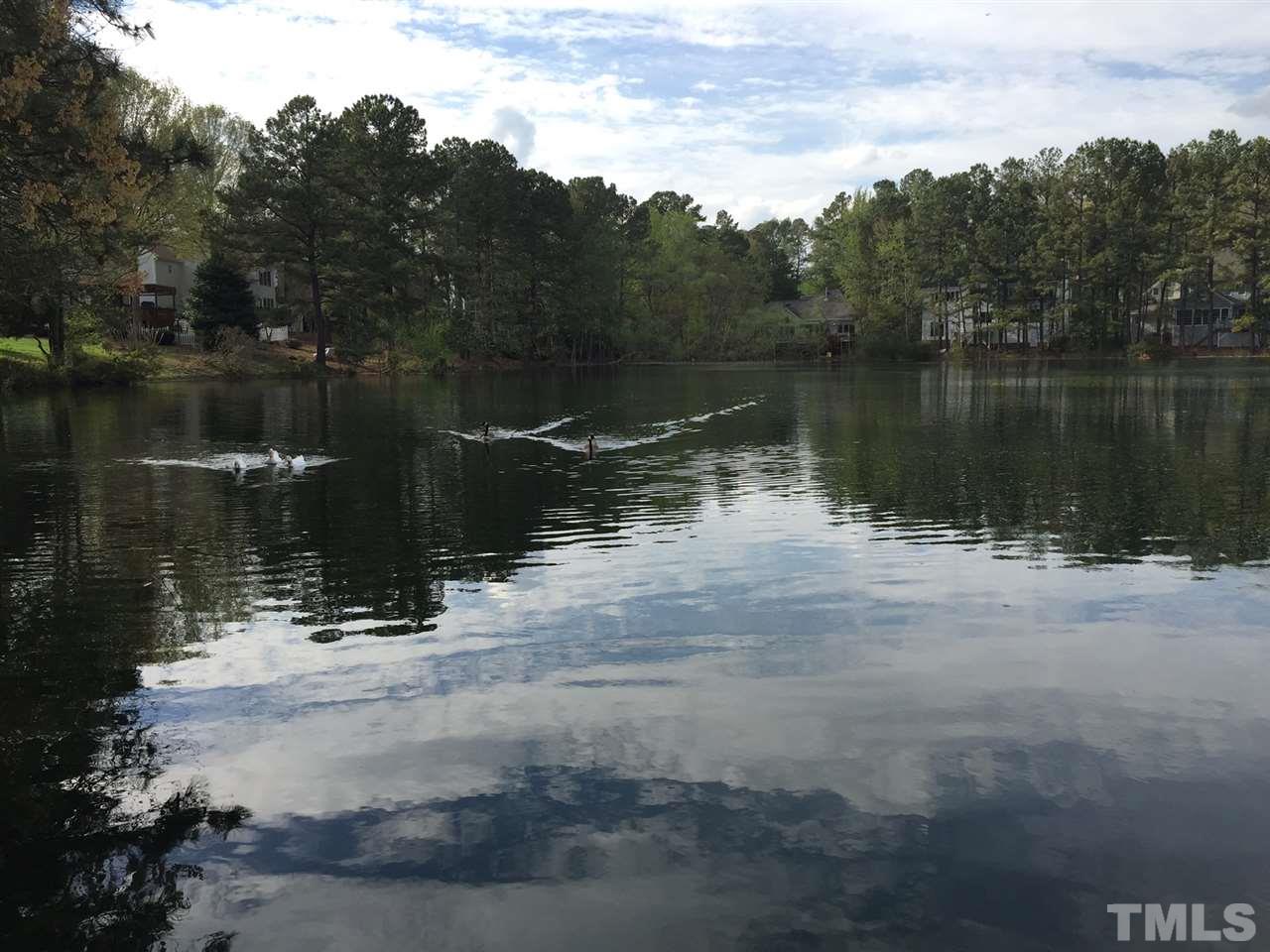 8536 Yucca Trail Raleigh, NC 27615 - Photo 23 of 23 a view of lake