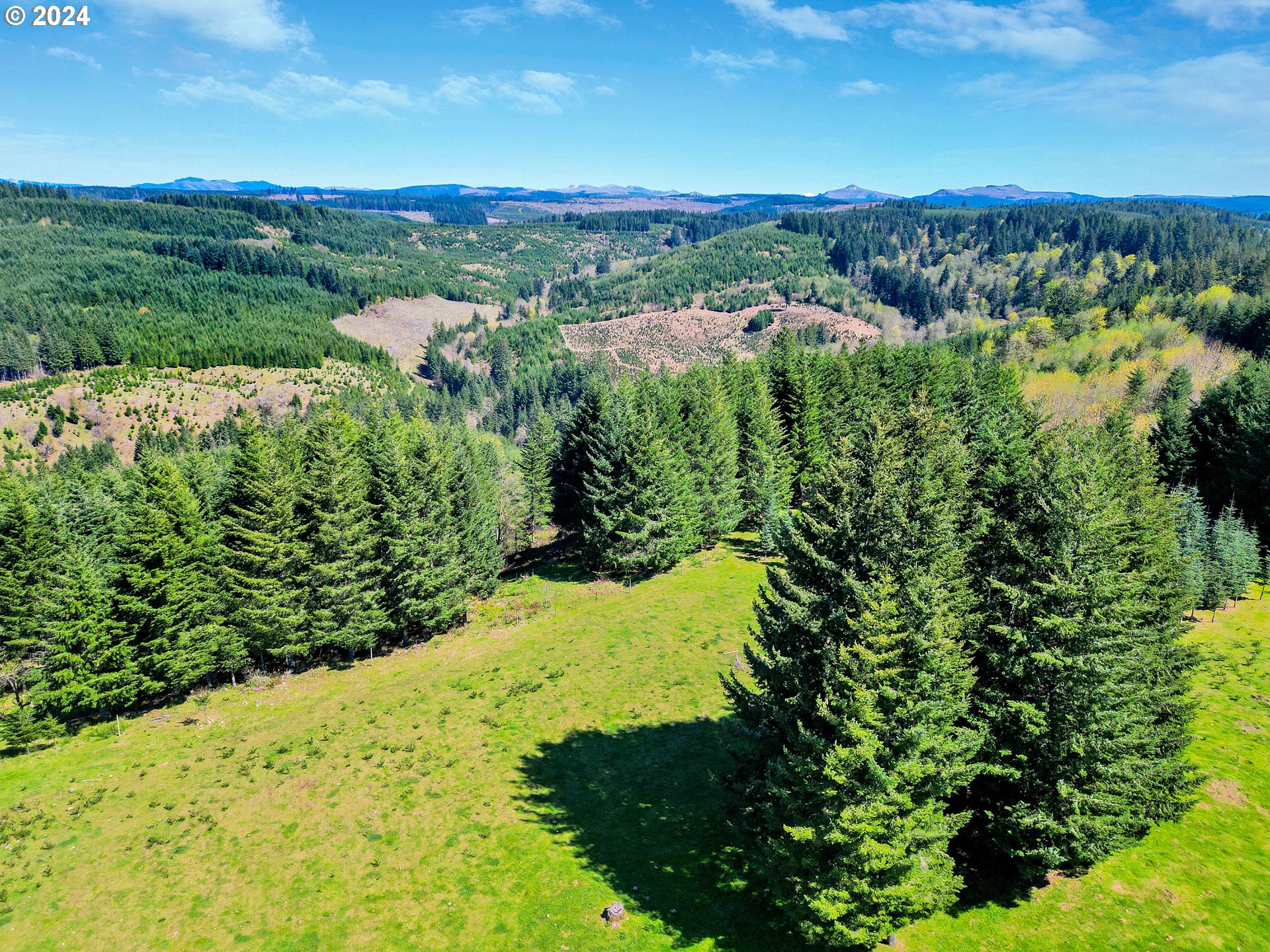 20471 Bridge Creek Road Southeast Silverton, OR 97381 - Photo 36 of 38 Gallery Image 36