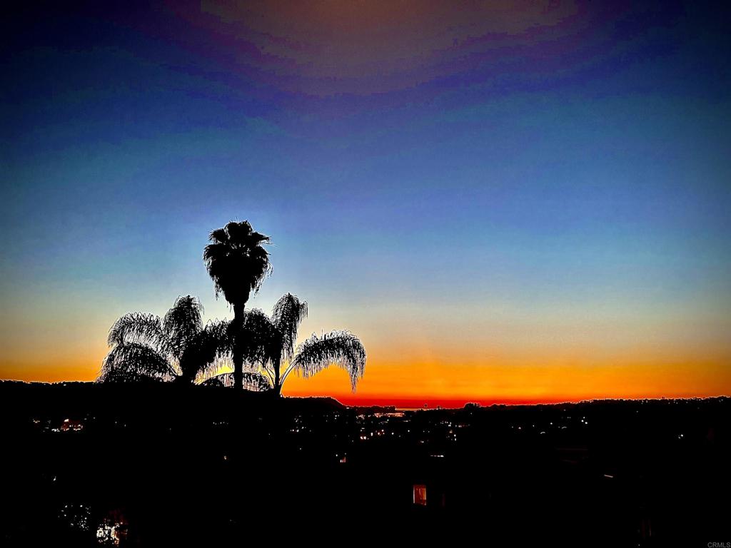 2327 Caringa Way, Unit 3 Carlsbad, CA 92009 - Photo 46 of 48 Sunset View