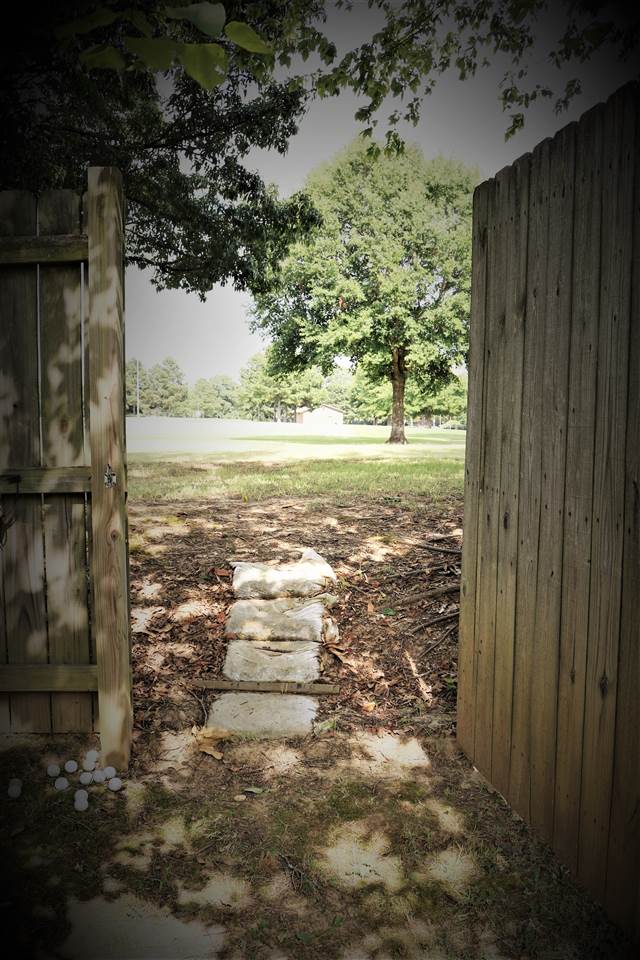 990 Greenview Road Collierville, TN 38017 - Photo 22 of 23 Gate opens up to park