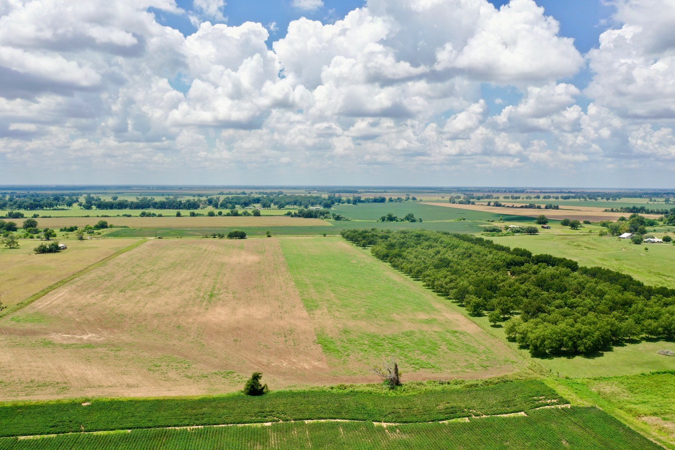 0 South County Road Eagle Lake, TX 77434 - Photo 7 of 26 a view of a swimming pool and an outdoor space