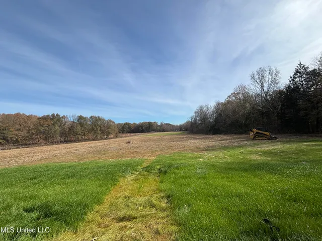 $520,000 | 990 Black Jack Road, Vaughan, MS 39179