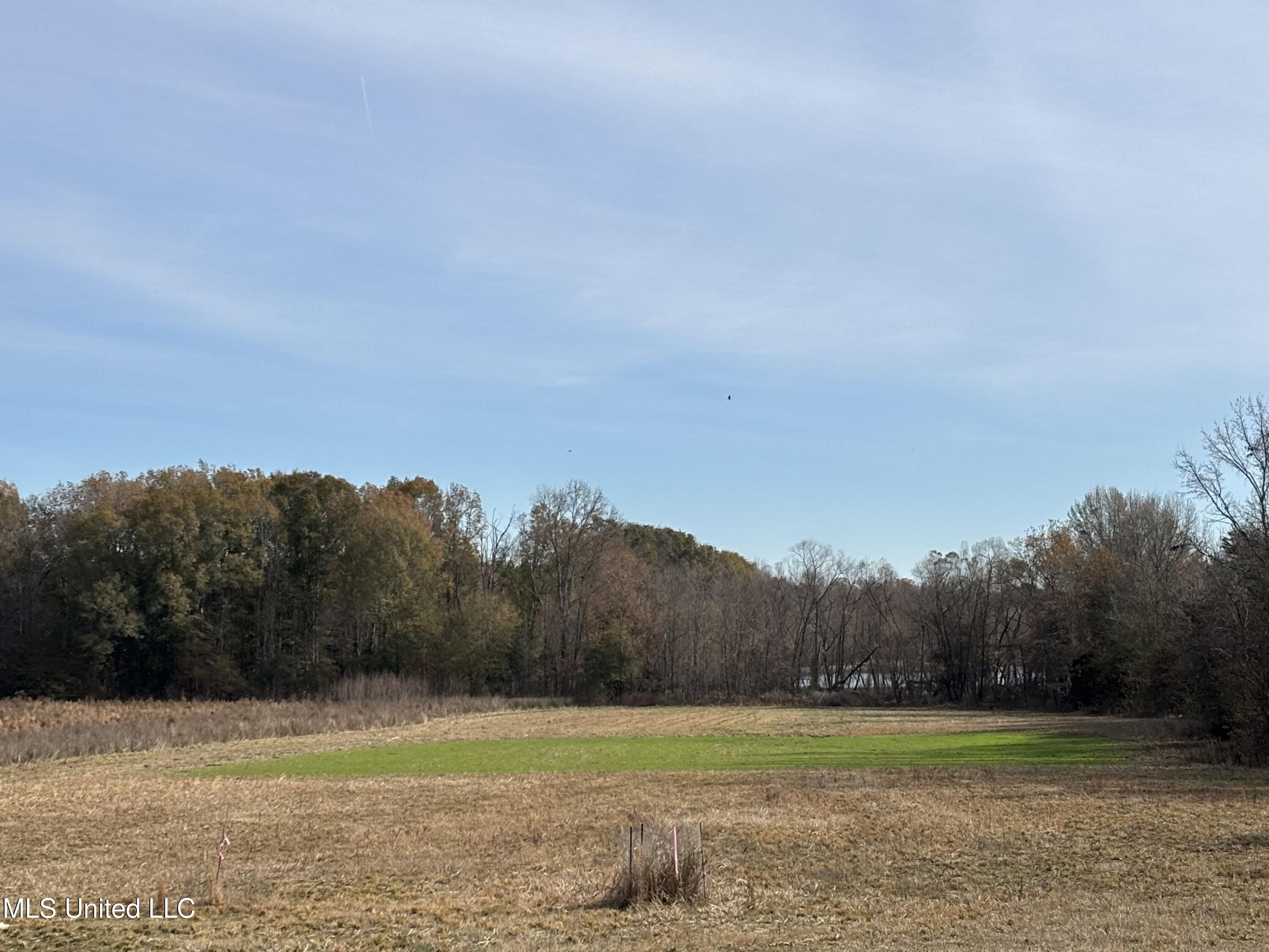 990 Black Jack Road Vaughan, MS 39179 - Photo 15 of 23 IMG_2244