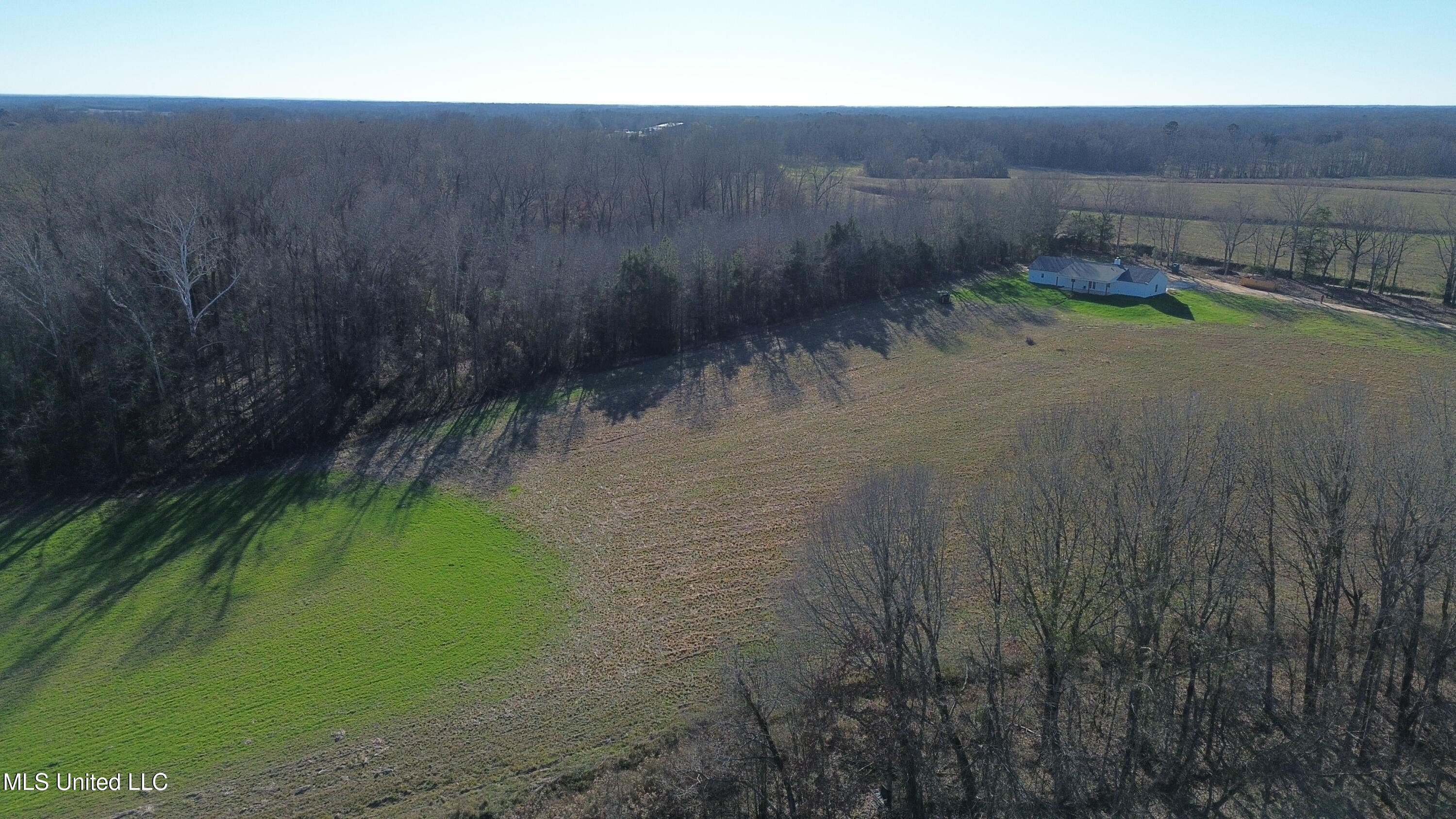 990 Black Jack Road Vaughan, MS 39179 - Photo 16 of 23 DJI_0274